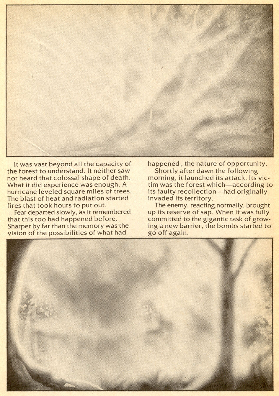 Read online Andromeda comic -  Issue #2 - 17