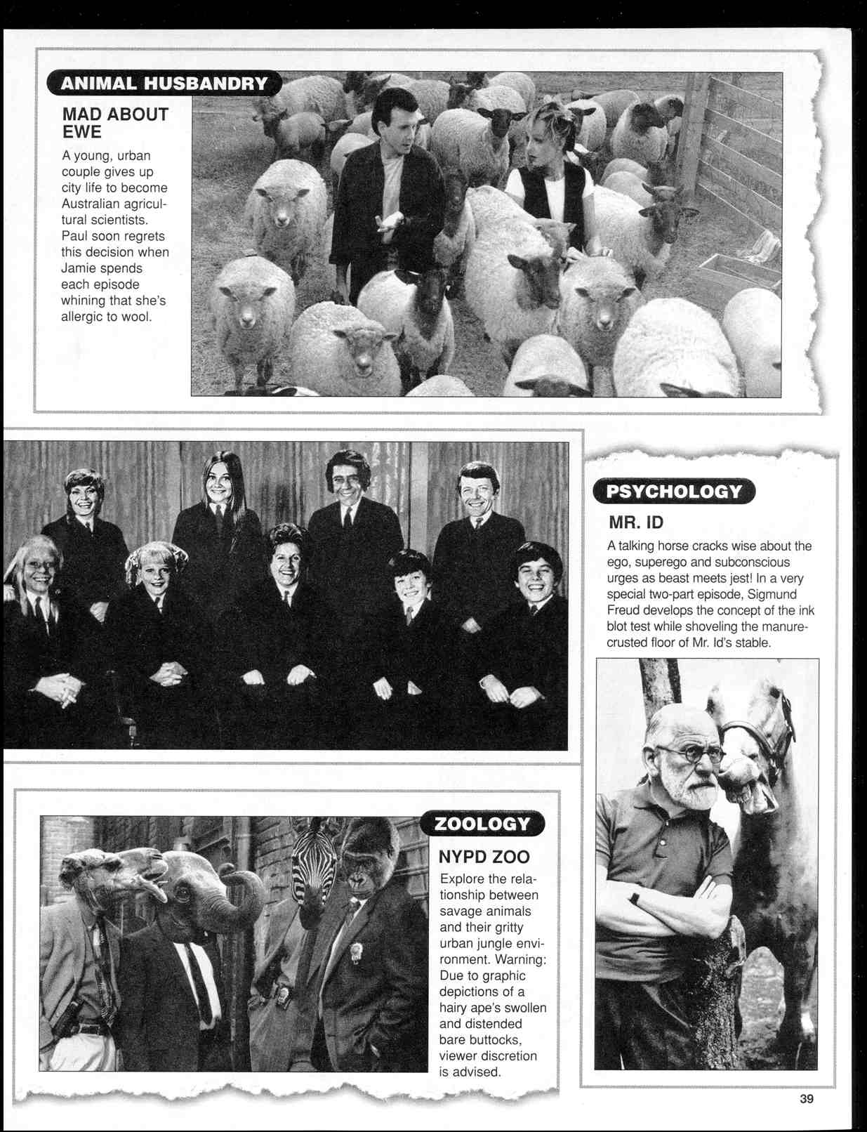 Read online MAD comic -  Issue #347 - 41