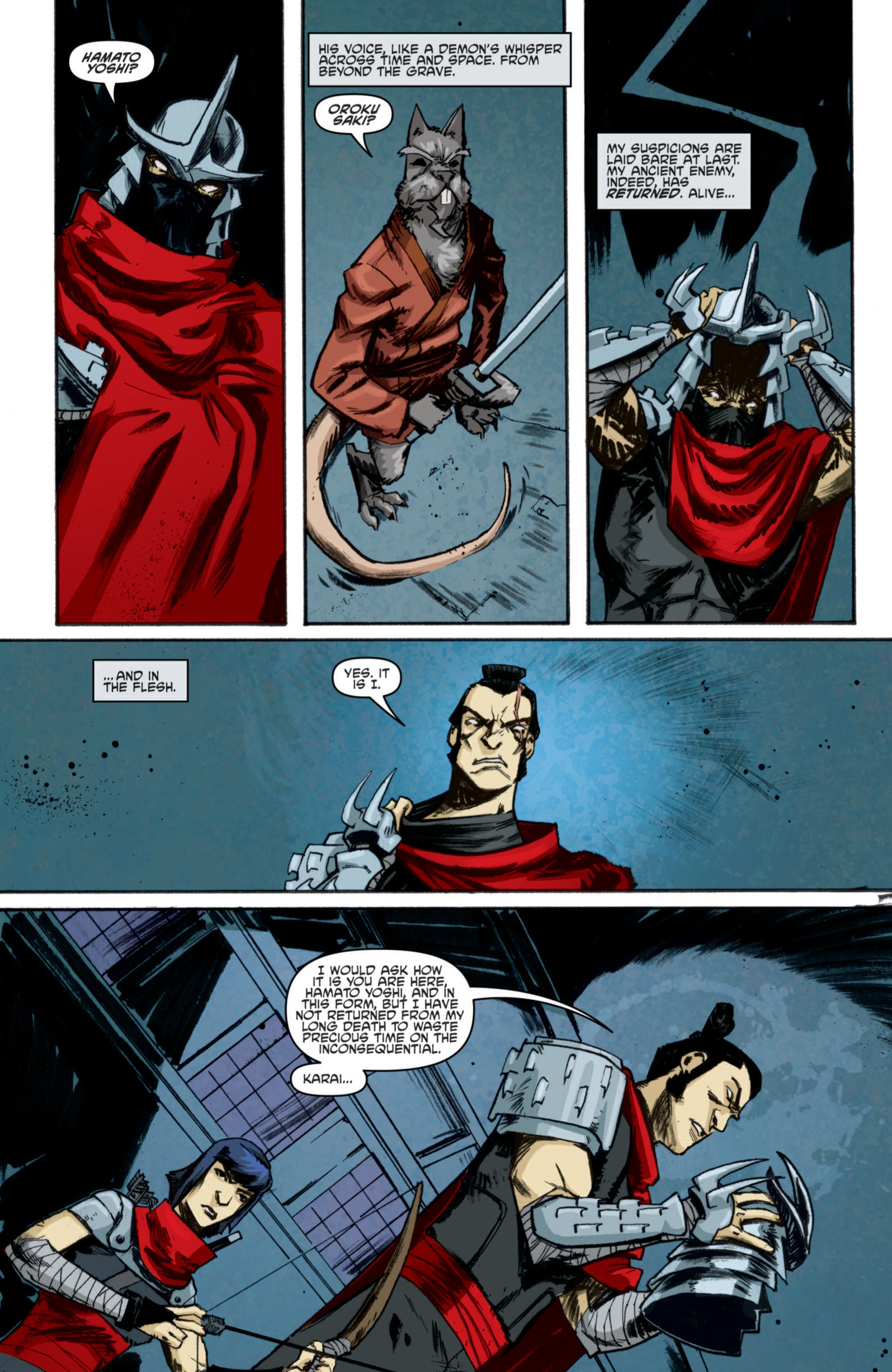 Read online Teenage Mutant Ninja Turtles (2011) comic -  Issue #10 - 25