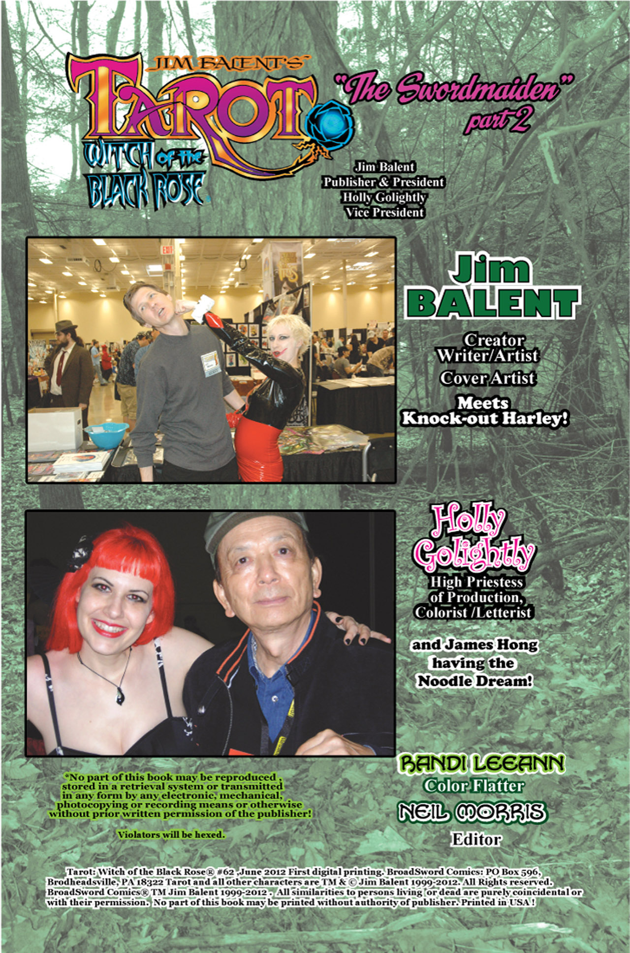 Read online Tarot: Witch of the Black Rose comic -  Issue #62 - 3