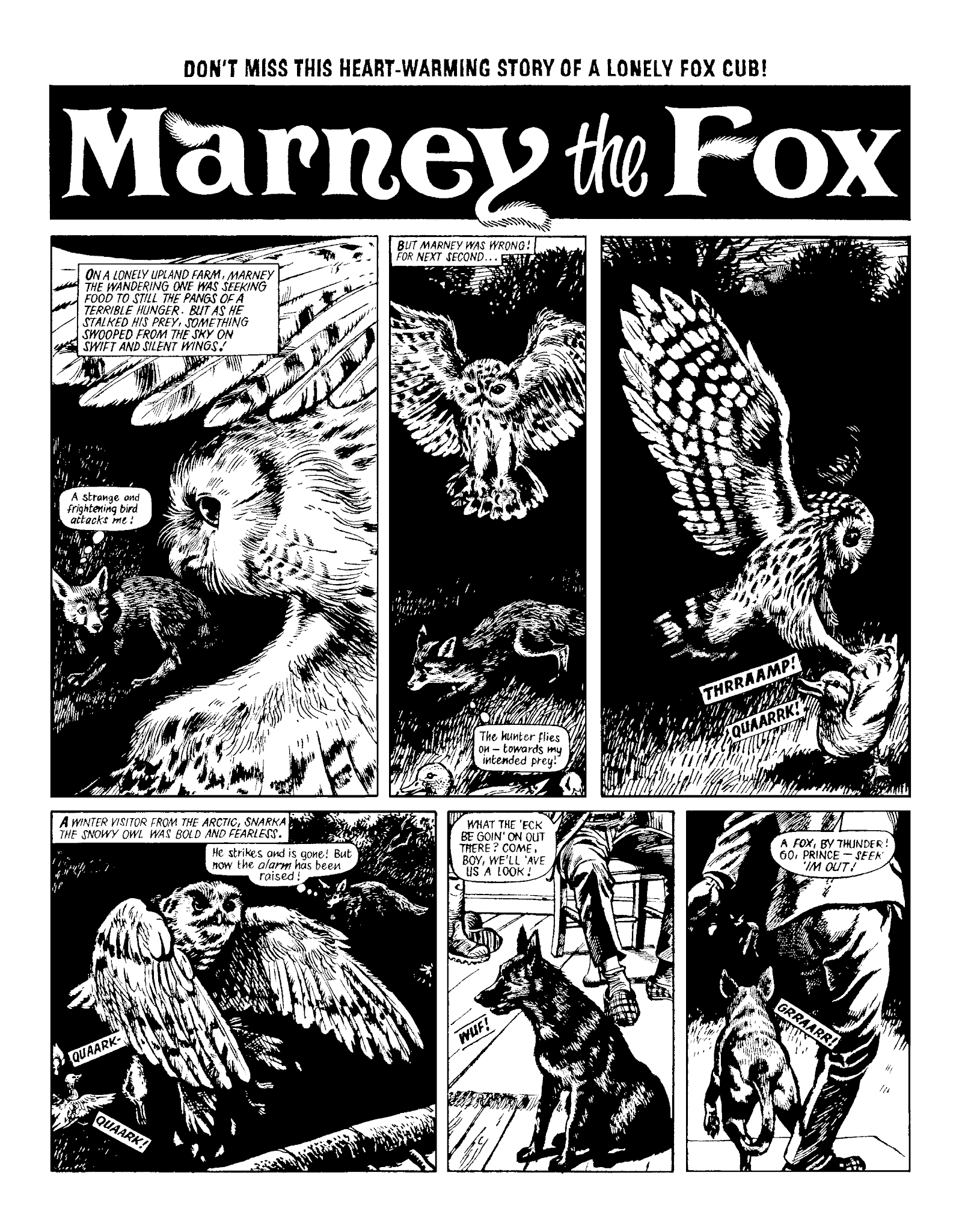 Read online Marney the Fox comic -  Issue # TPB (Part 1) - 49