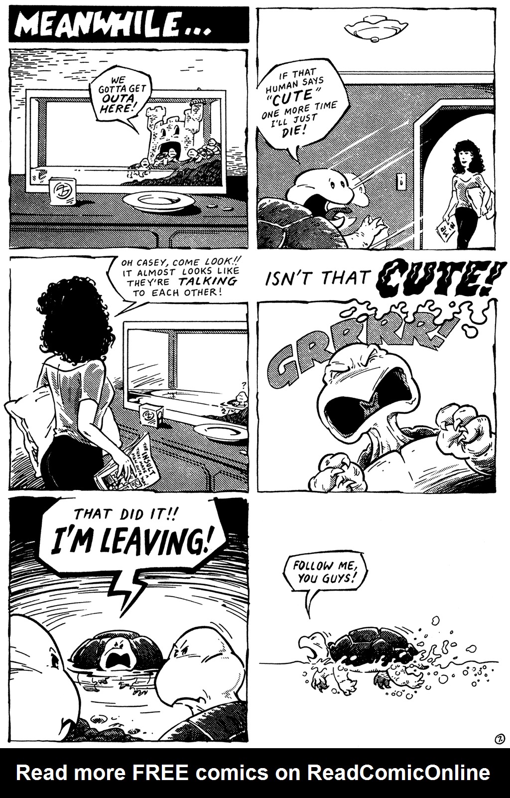 Read online Teenage Mutant Ninja Turtles (1984) comic -  Issue #23 - 9