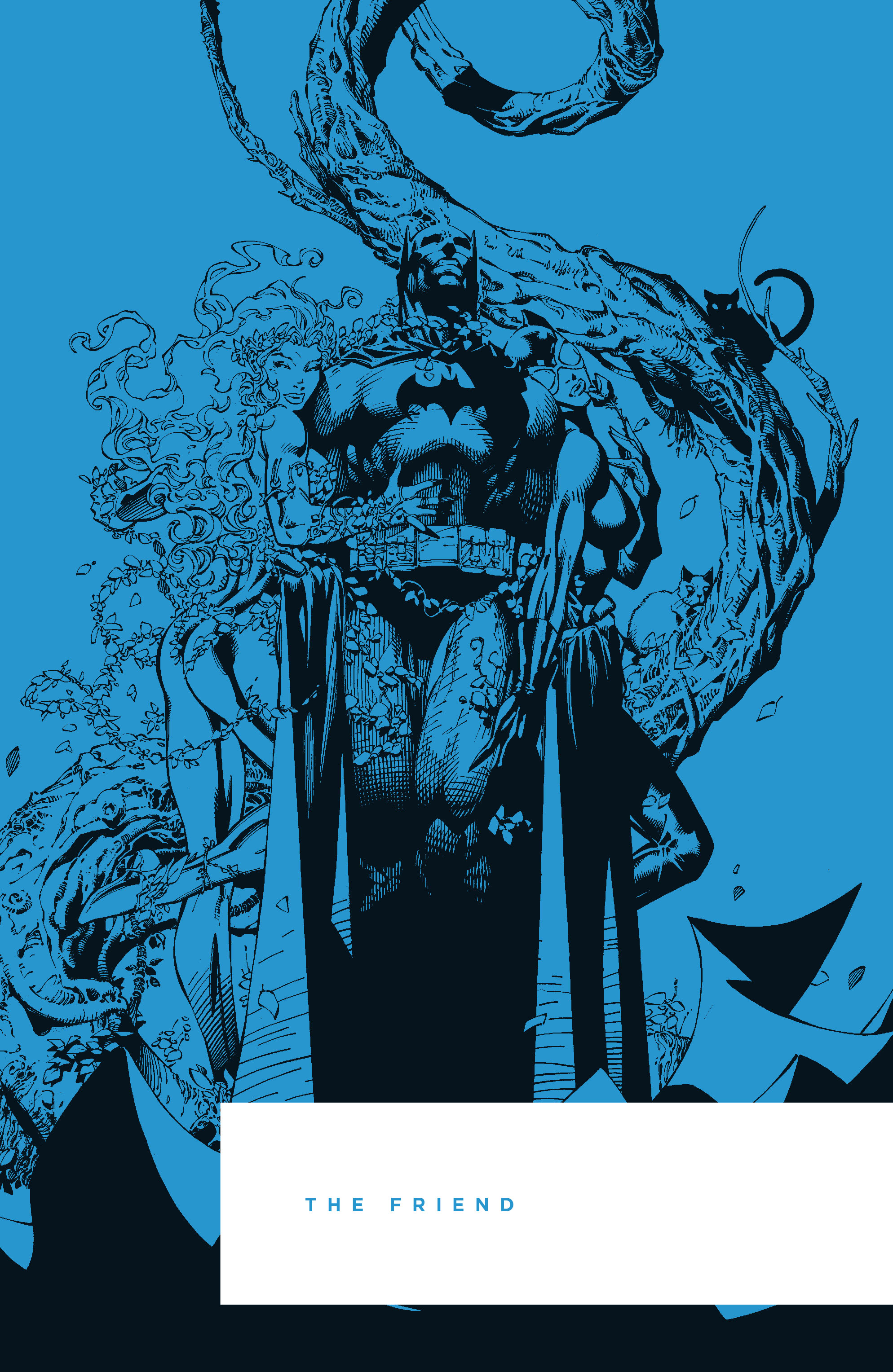 Read online Batman (1940) comic -  Issue # _TPB Batman - Hush (New Edition) (Part 1) - 41