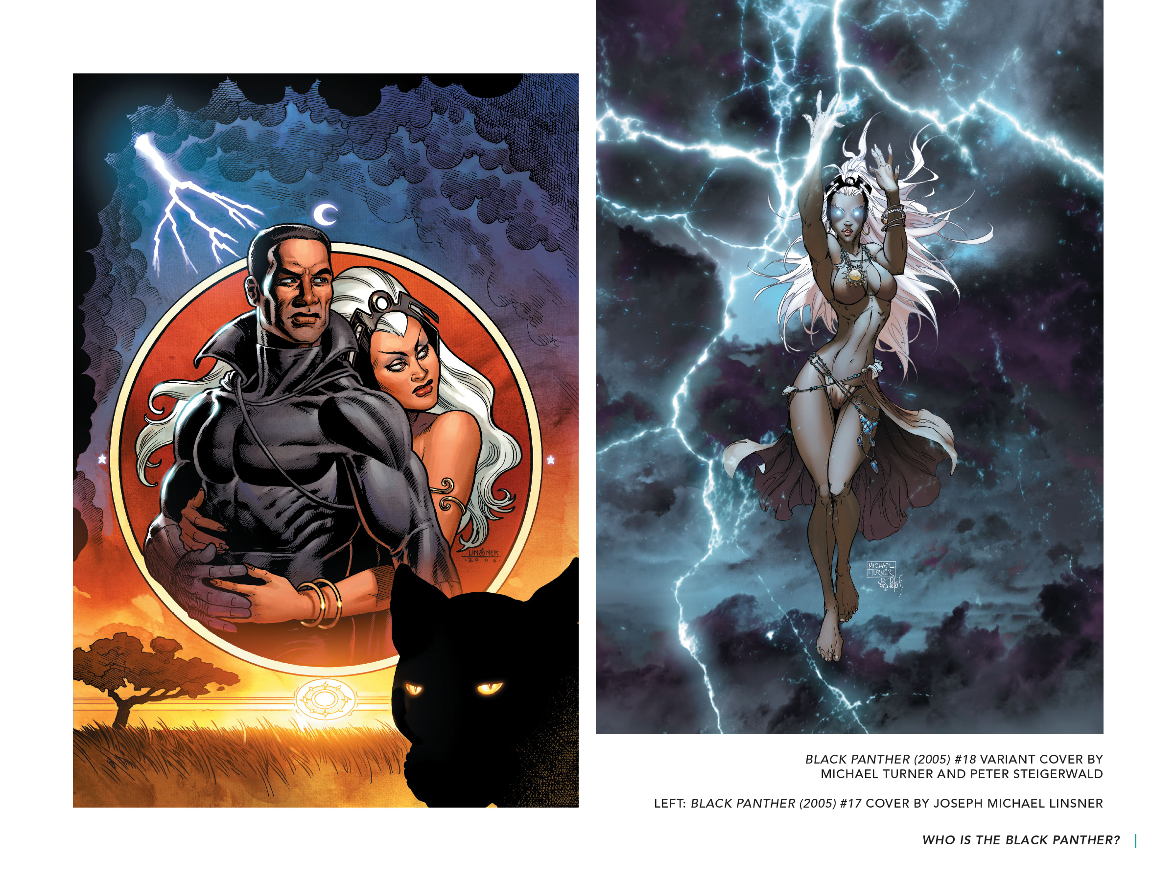 Read online Black Panther: Visions of Wakanda comic -  Issue # TPB (Part 3) - 5