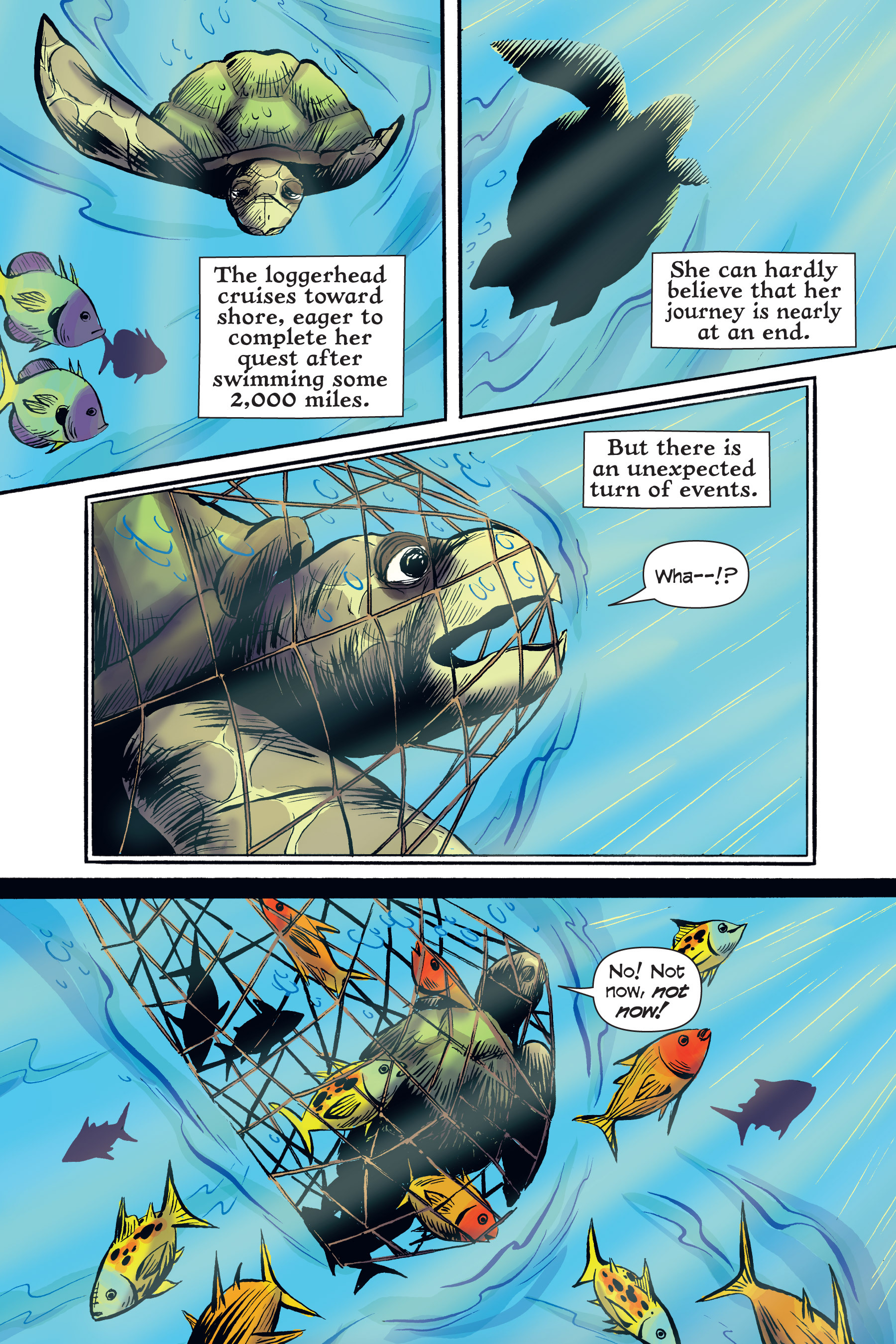 Read online Xoc: Journey of a Great White comic -  Issue # TPB - 111