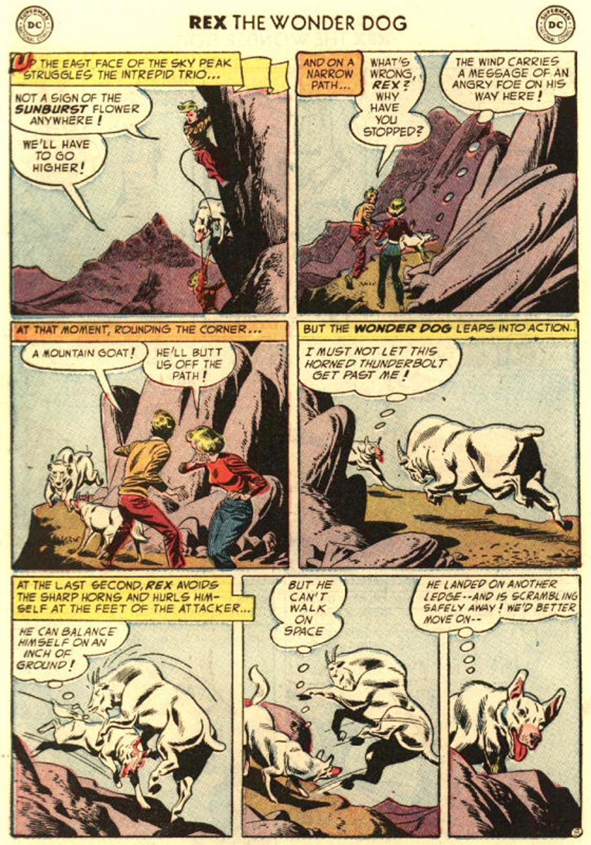 Read online The Adventures of Rex the Wonder Dog comic -  Issue #14 - 10