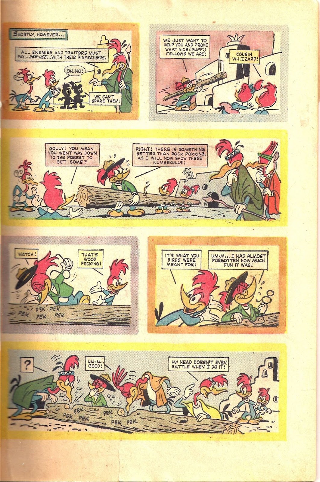 Walter Lantz Woody Woodpecker (1962) issue 73 - Page 43