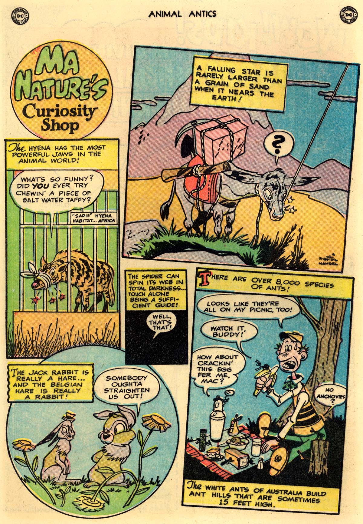 Read online Animal Antics comic -  Issue #24 - 10