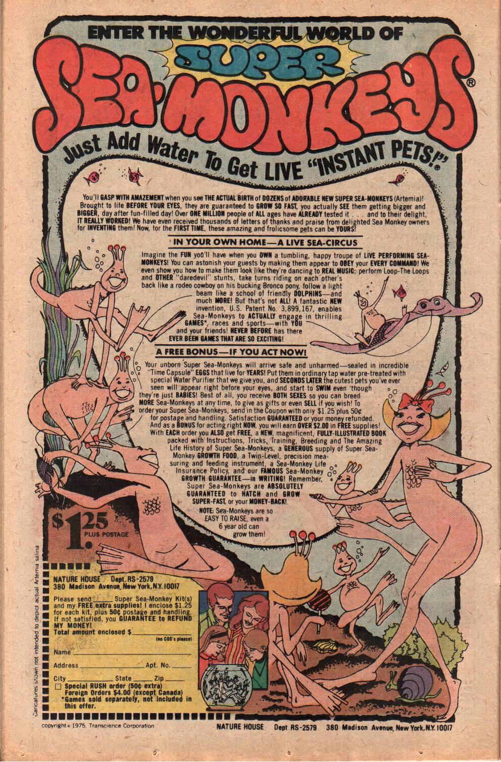Read online Shazam! (1973) comic -  Issue #29 - 14