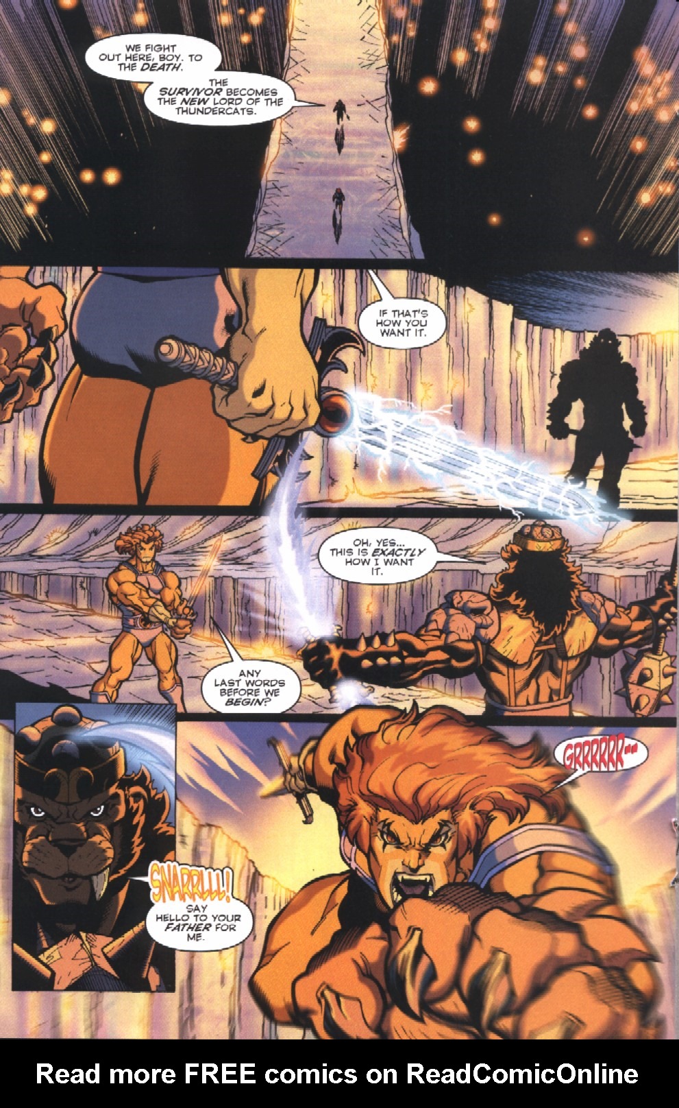 Read online ThunderCats (2002) comic -  Issue #5 - 14
