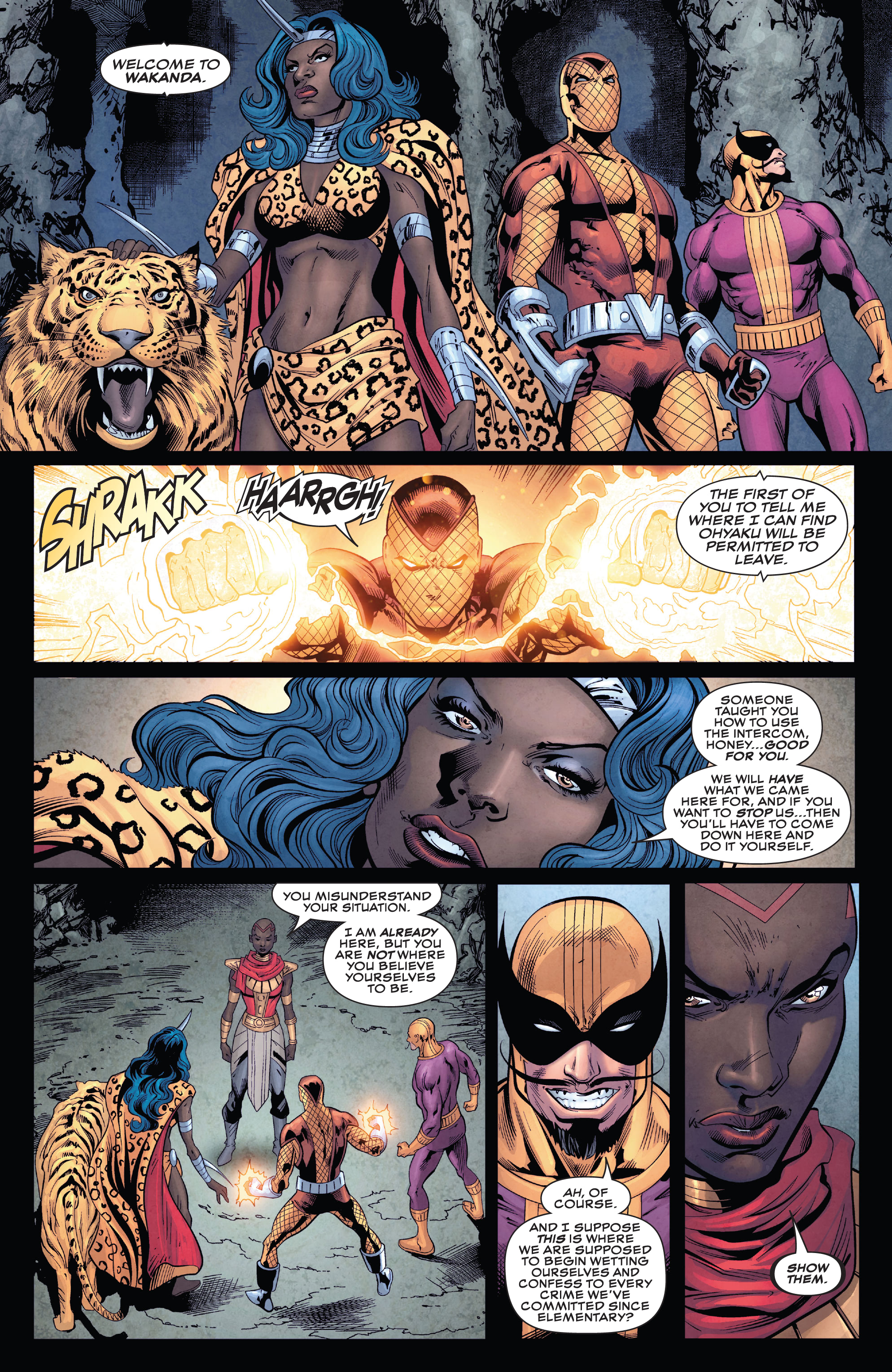 Read online Wakanda comic -  Issue #5 - 13