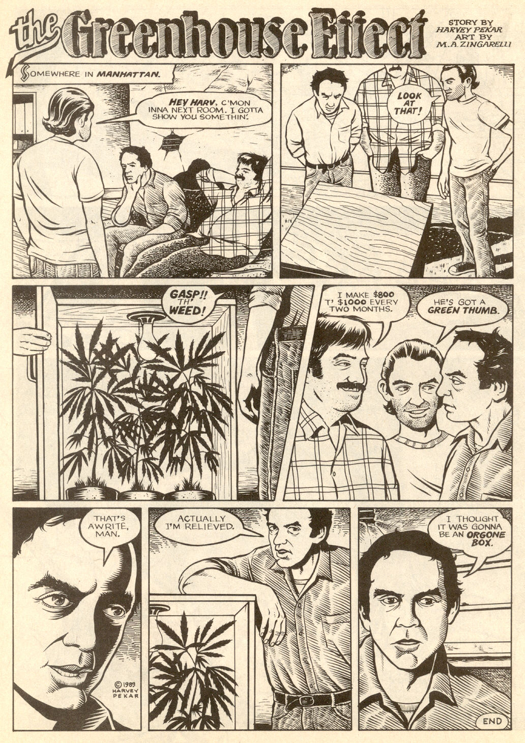 Read online American Splendor (1976) comic -  Issue #15 - 17