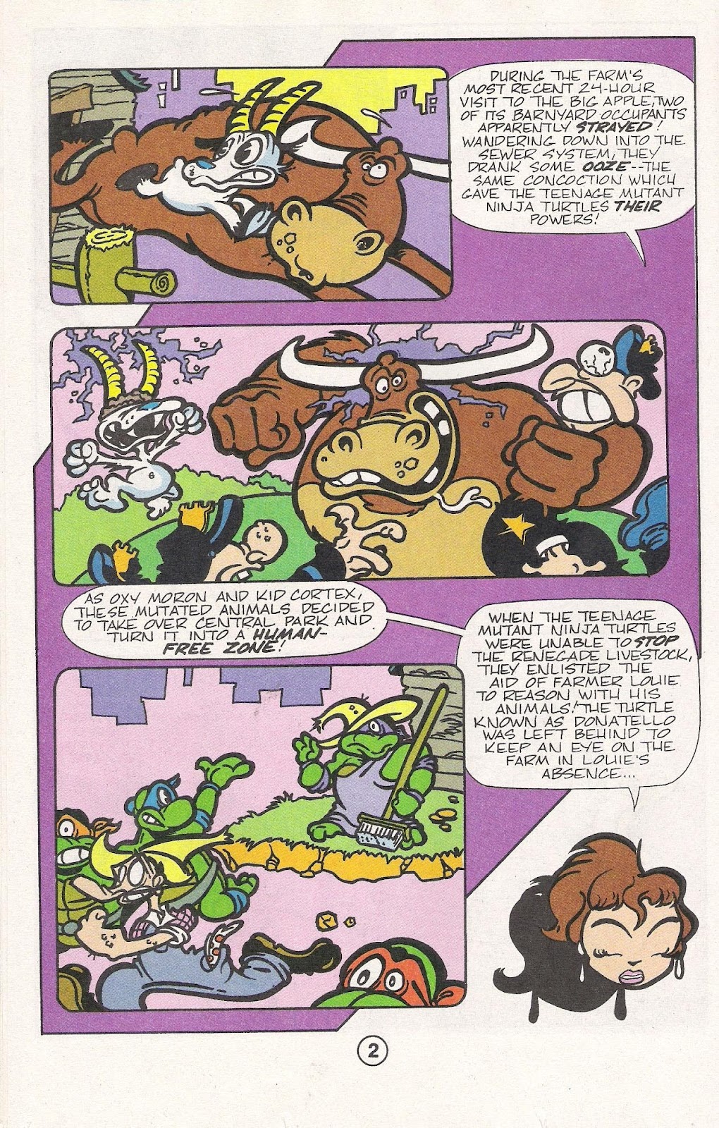 Teenage Mutant Ninja Turtles Adventures (1989) issue Special 4 - Page 36
