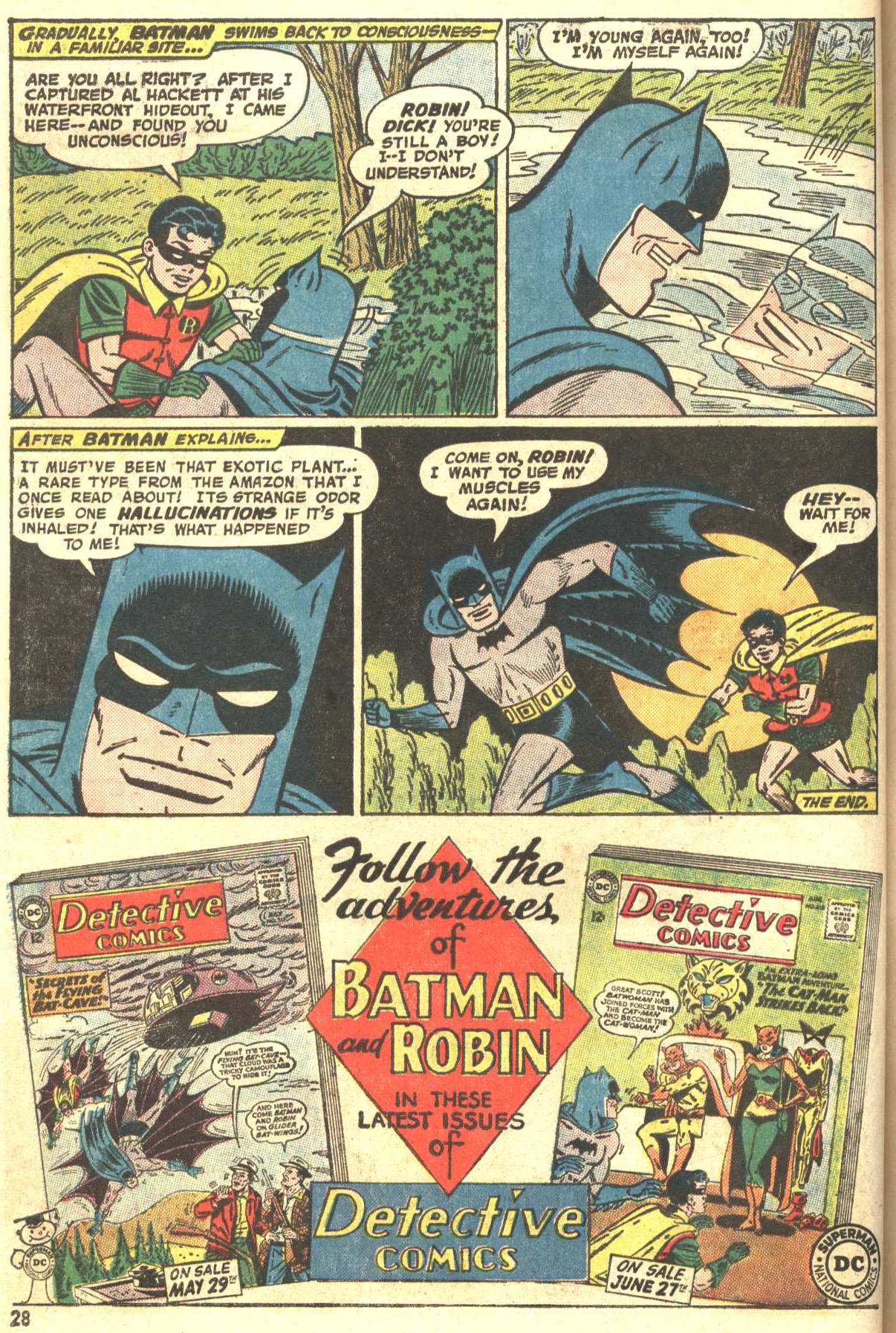 Read online Batman (1940) comic -  Issue # _Annual 5 - 29