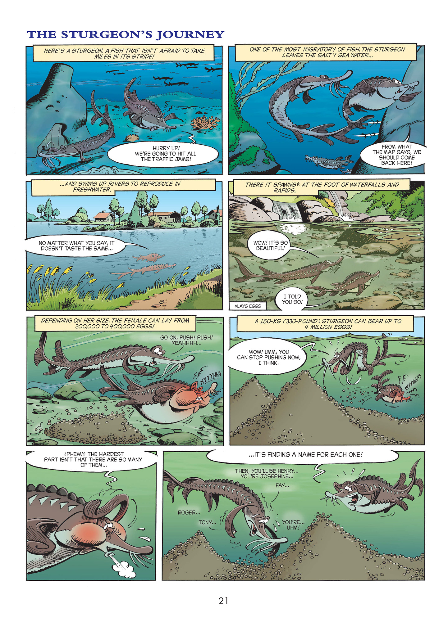 Read online Sea Creatures comic -  Issue #1 - 23