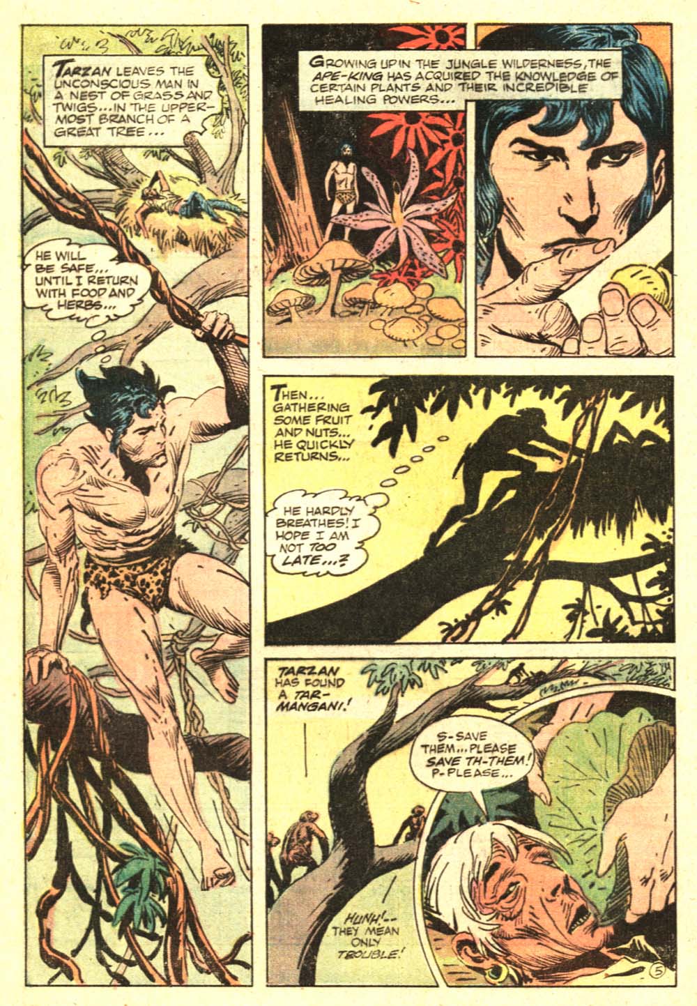 Read online Tarzan (1972) comic -  Issue #217 - 8