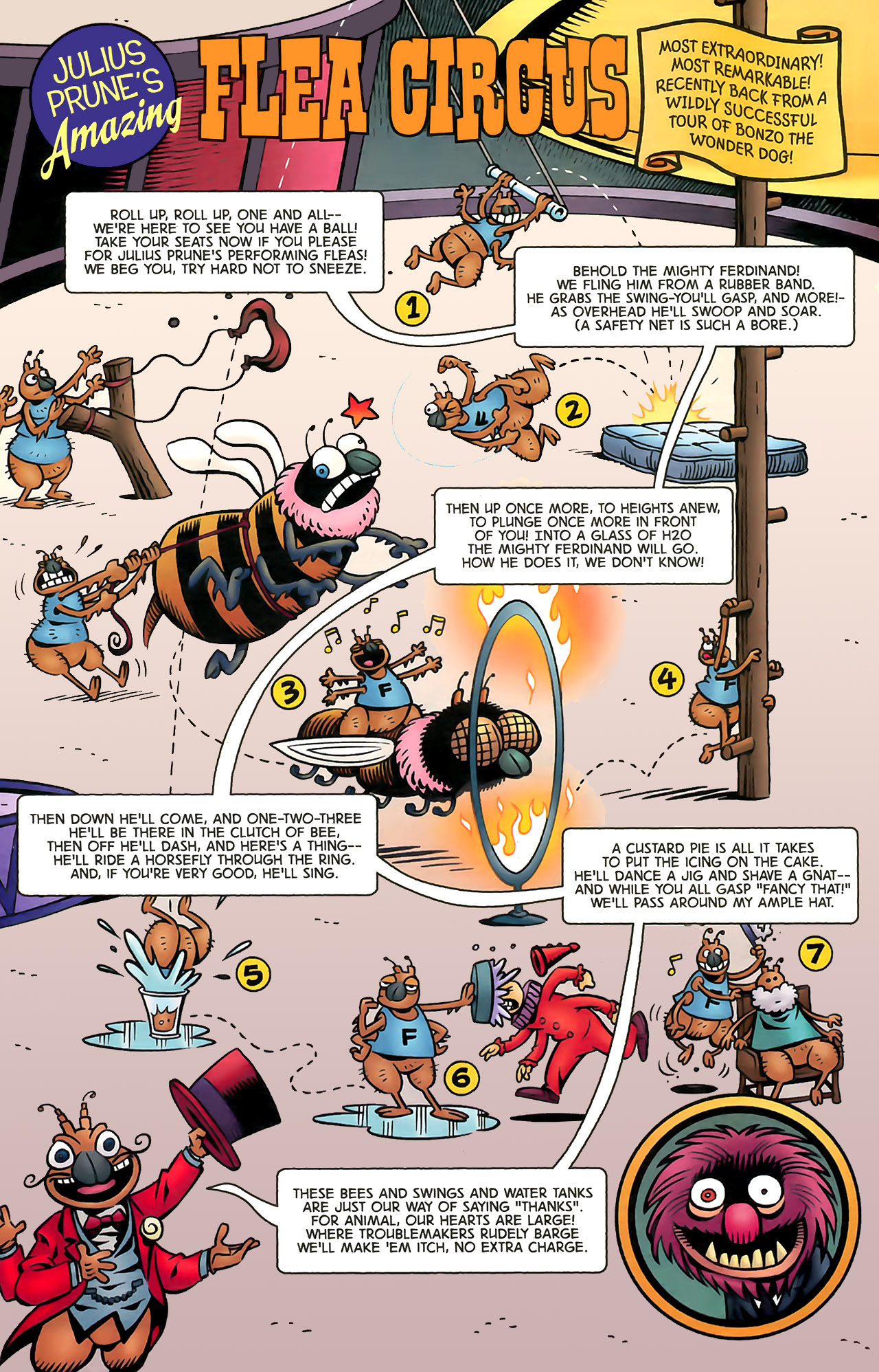 Read online The Muppet Show: The Treasure of Peg-Leg Wilson comic -  Issue #3 - 13