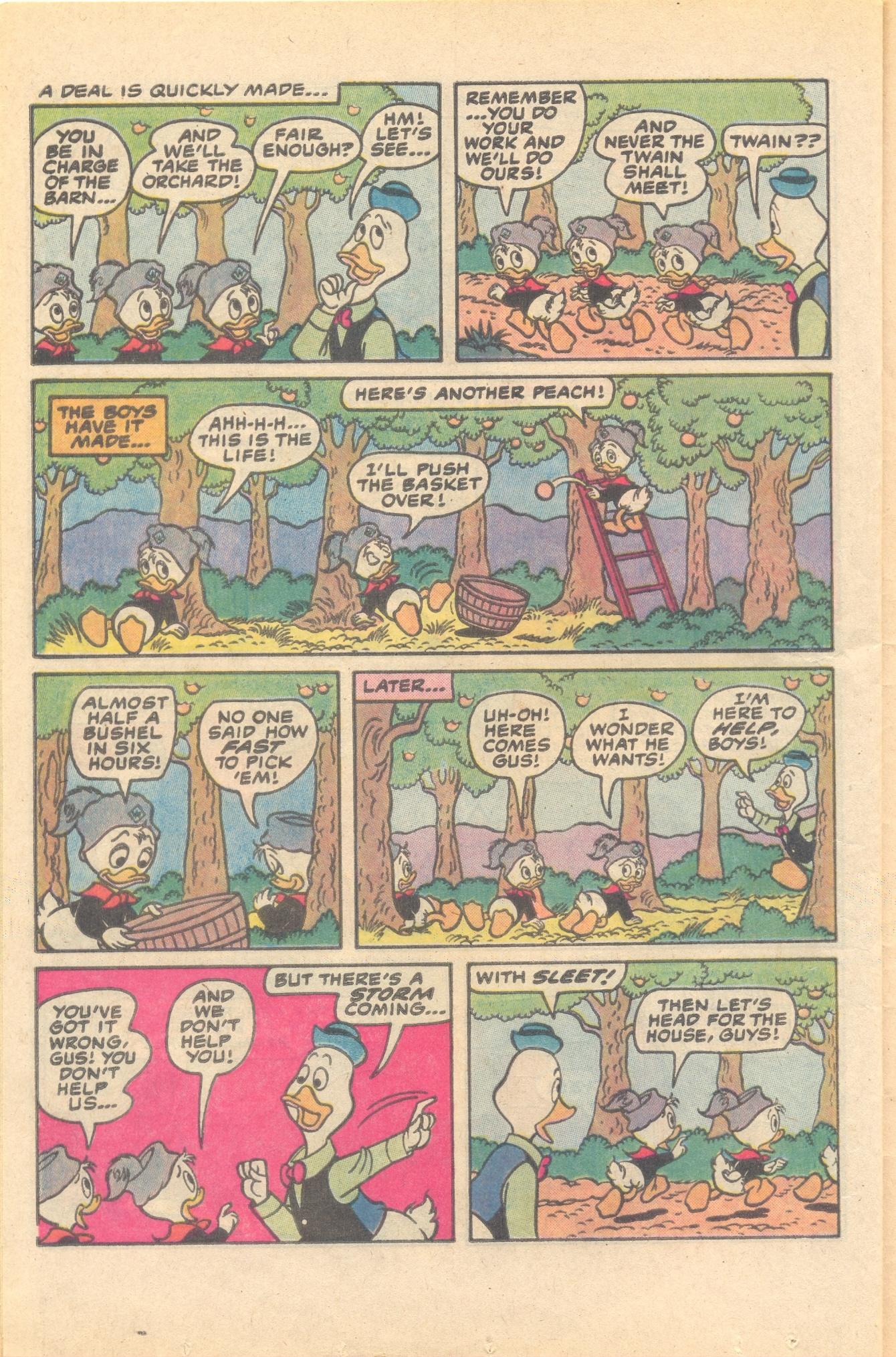 Read online Huey, Dewey, and Louie Junior Woodchucks comic -  Issue #79 - 24