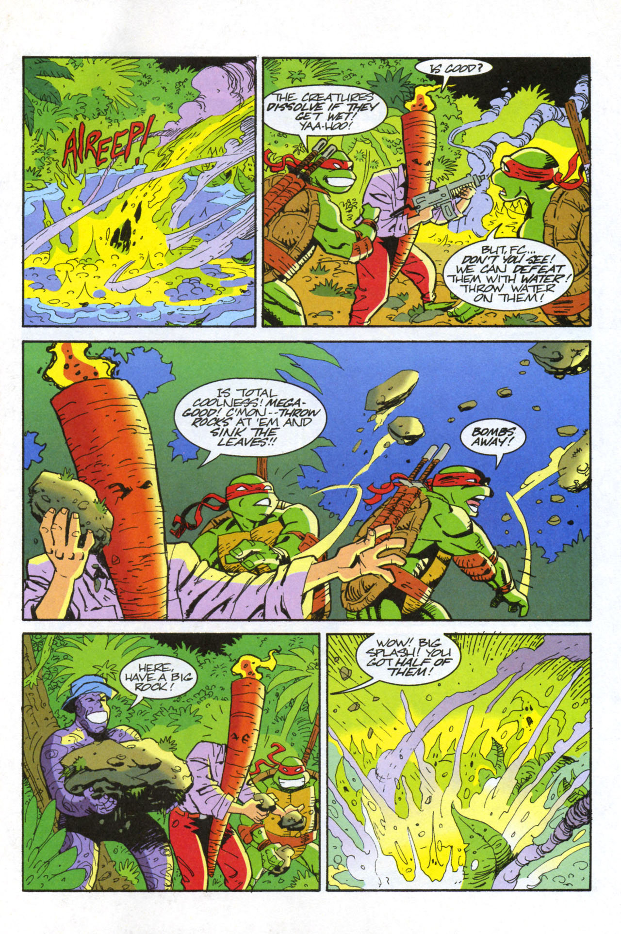 Read online Teenage Mutant Ninja Turtles/Flaming Carrot Crossover comic -  Issue #3 - 9