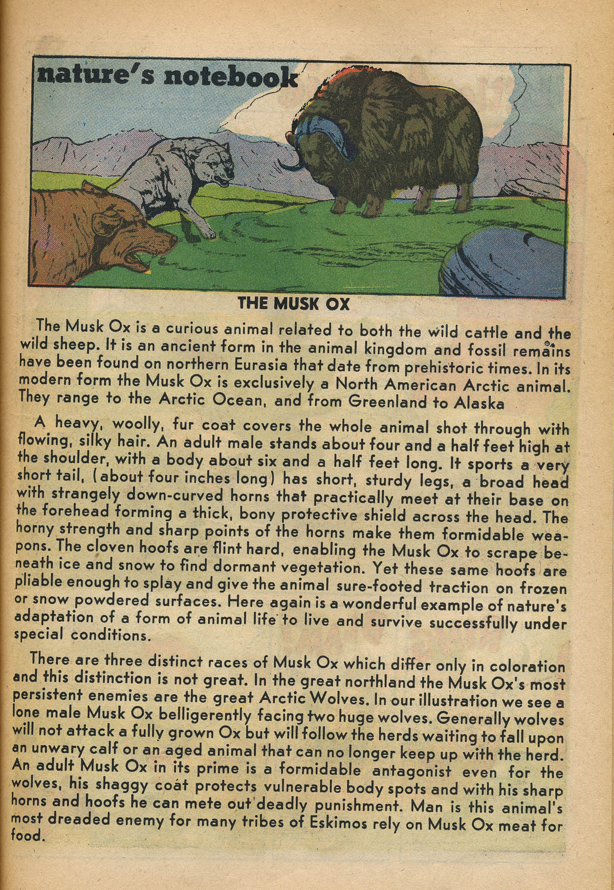 Read online Little Archie (1956) comic -  Issue #12 - 31