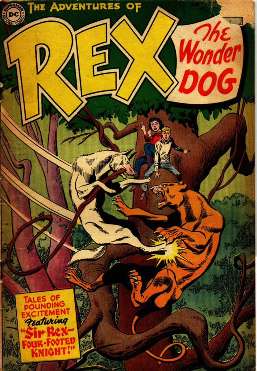 Read online The Adventures of Rex the Wonder Dog comic -  Issue #17 - 1