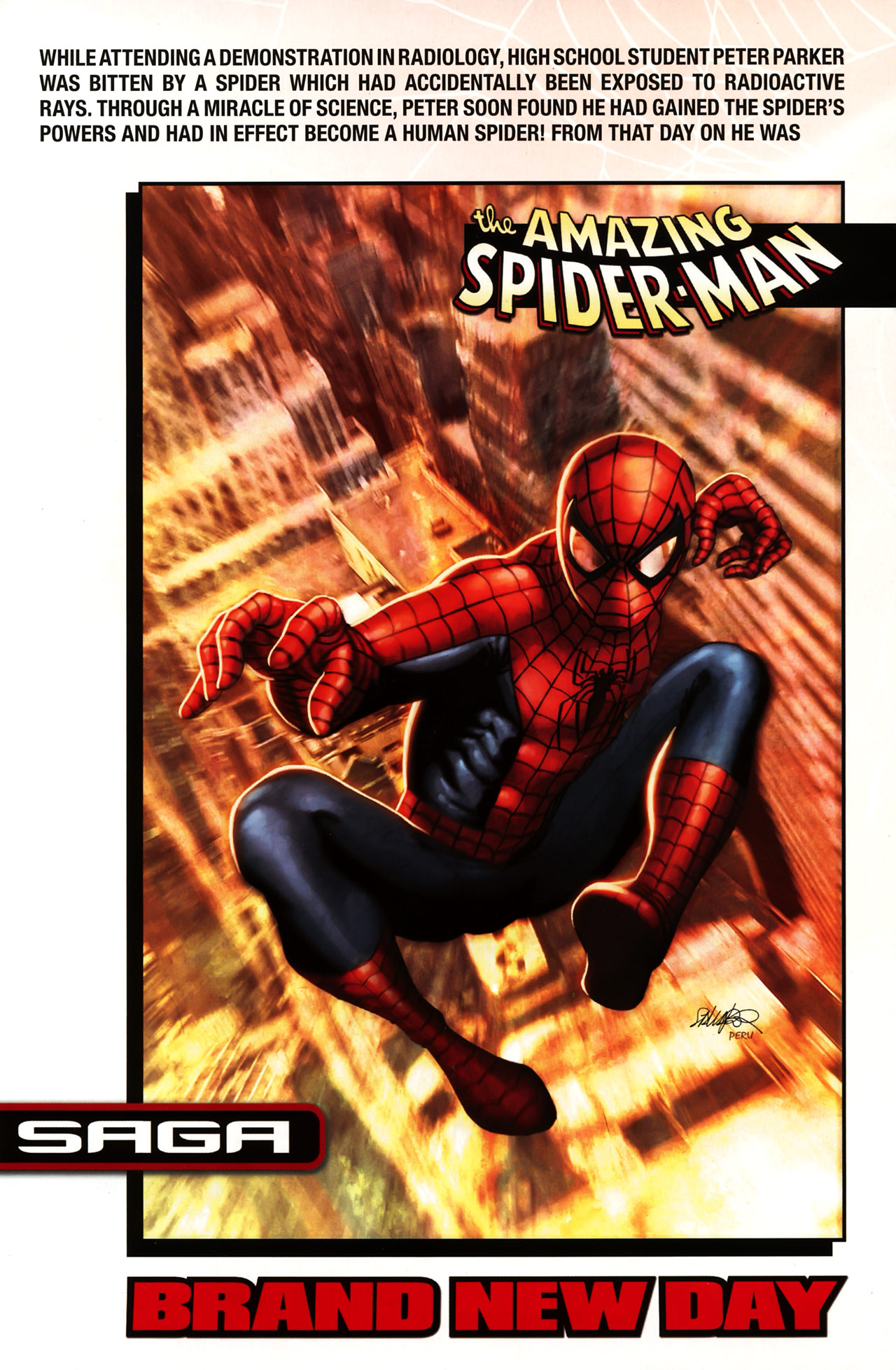 Read online Spider-Man: Brand New Day Yearbook comic -  Issue # Full - 3