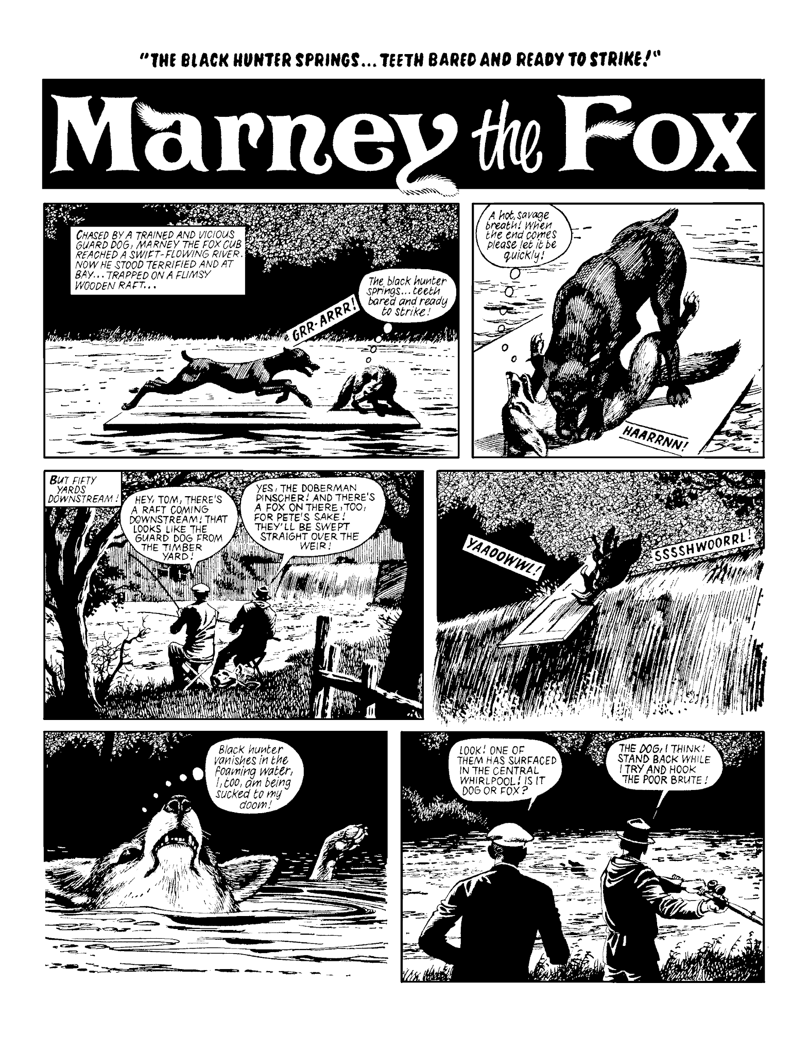 Read online Marney the Fox comic -  Issue # TPB (Part 2) - 46