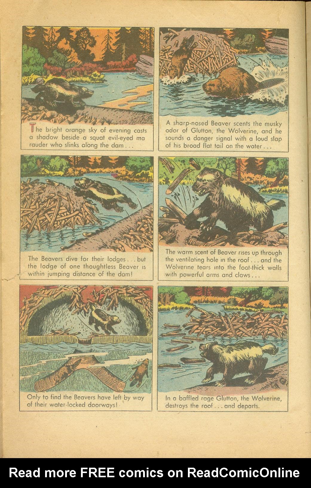 Read online Four Color Comics comic -  Issue #625 - 14