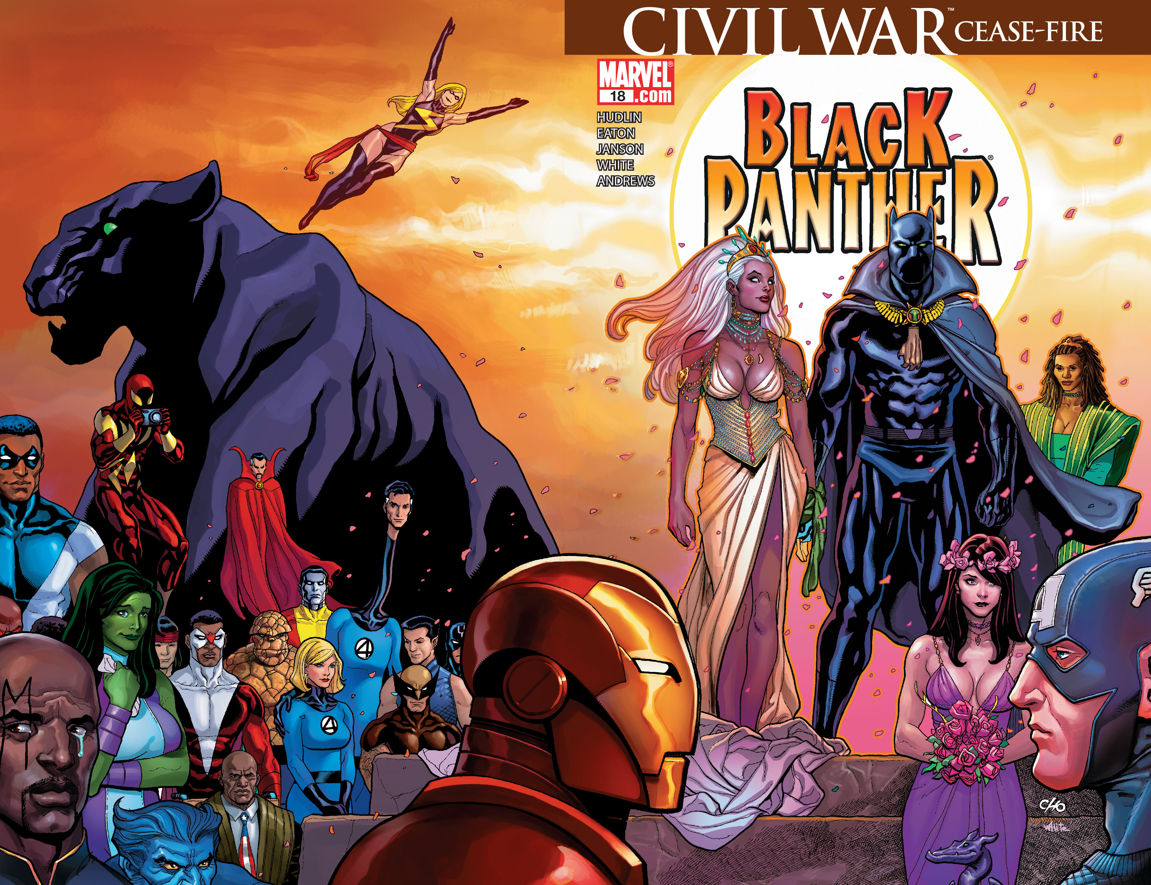 Read online Black Panther: The Bride comic -  Issue # TPB - 102