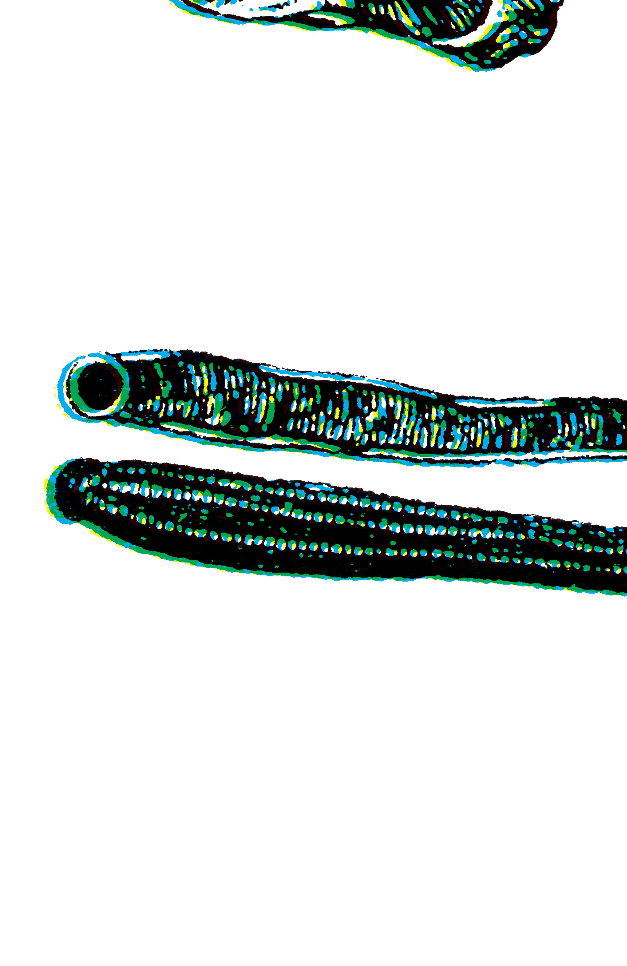 Read online Animal Man (1988) comic -  Issue # _ by Grant Morrison 30th Anniversary Deluxe Edition Book 1 (Part 2) - 65