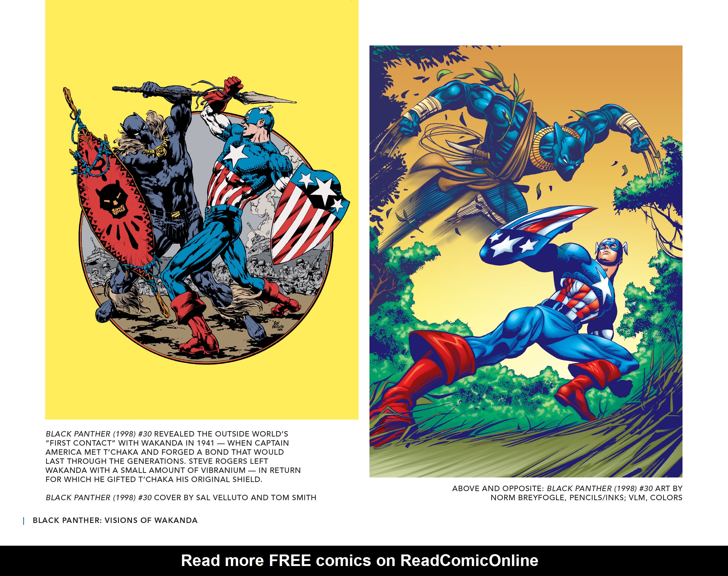 Read online Black Panther: Visions of Wakanda comic -  Issue # TPB (Part 2) - 64