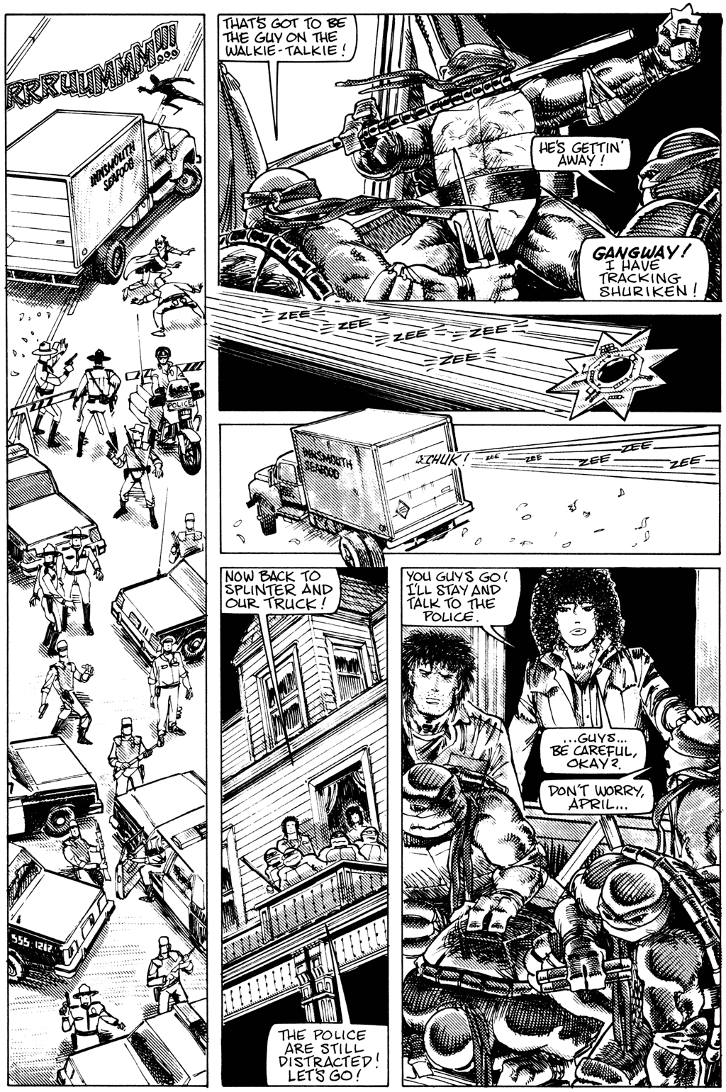 Teenage Mutant Ninja Turtles (1984) Issue #29 #29 - English 17