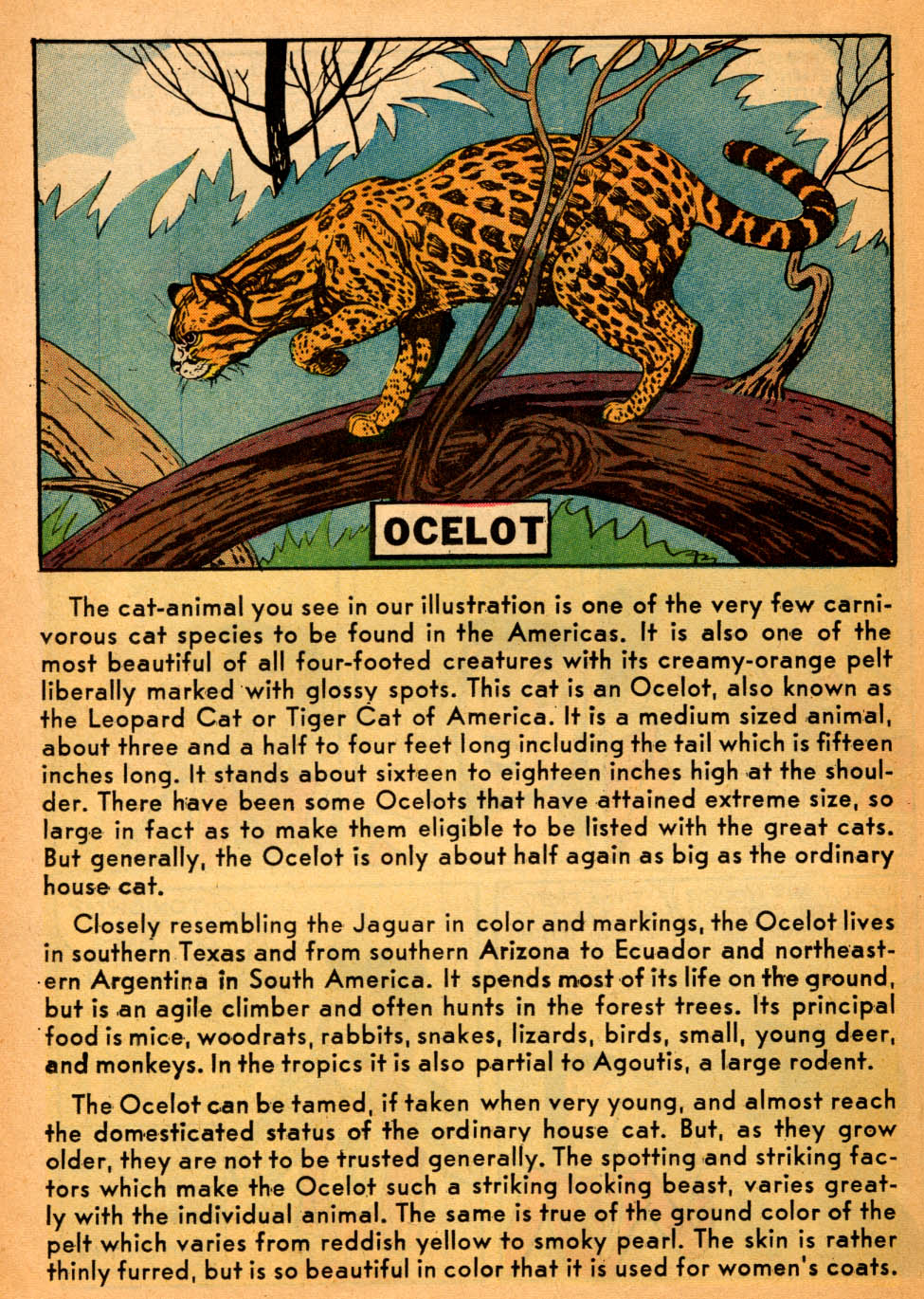 Read online Jughead's Fantasy comic -  Issue #1 - 26