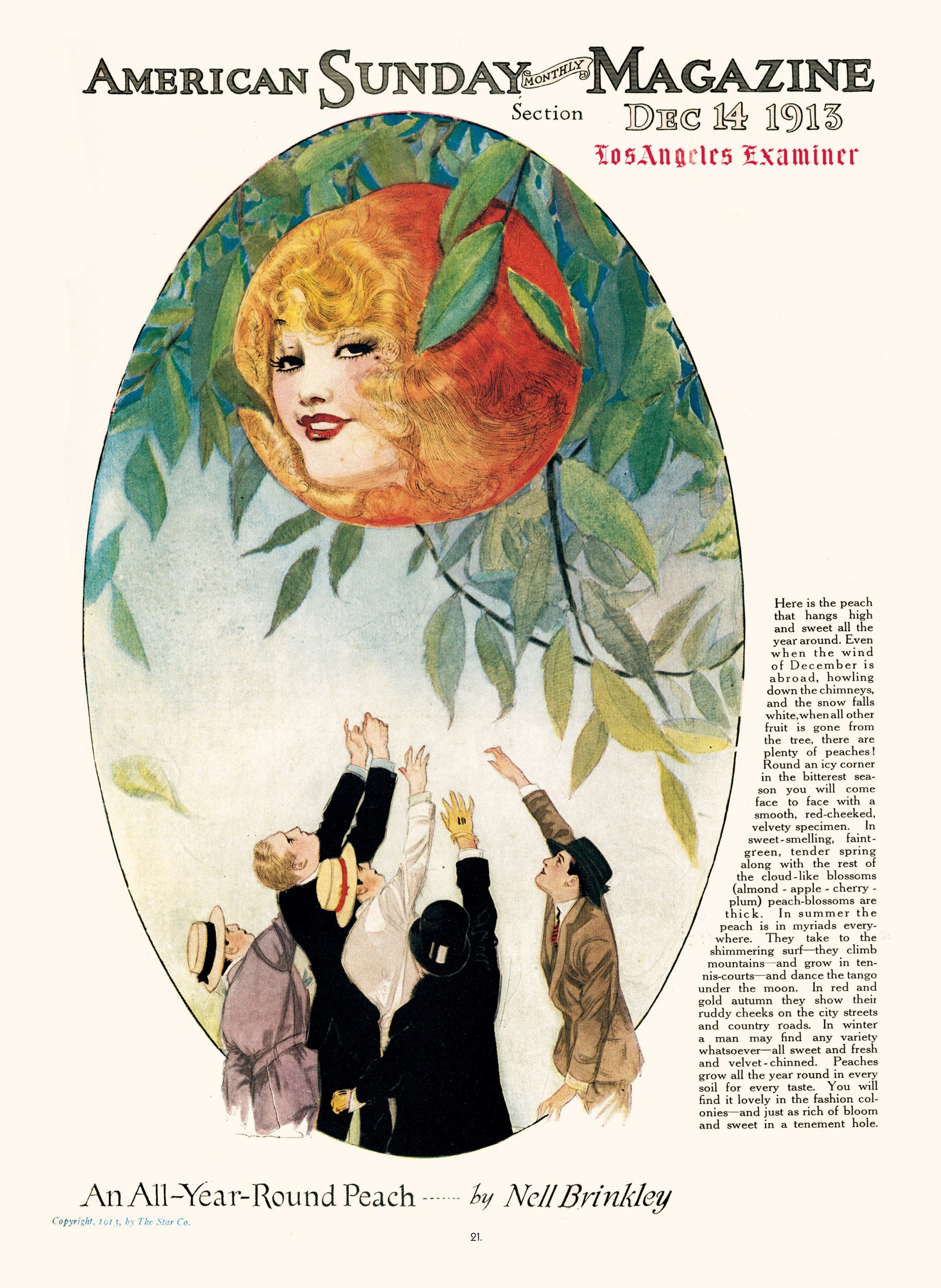 Read online The Brinkley Girls: The Best of Nell Brinkley's Cartoons comic -  Issue # TPB - 21