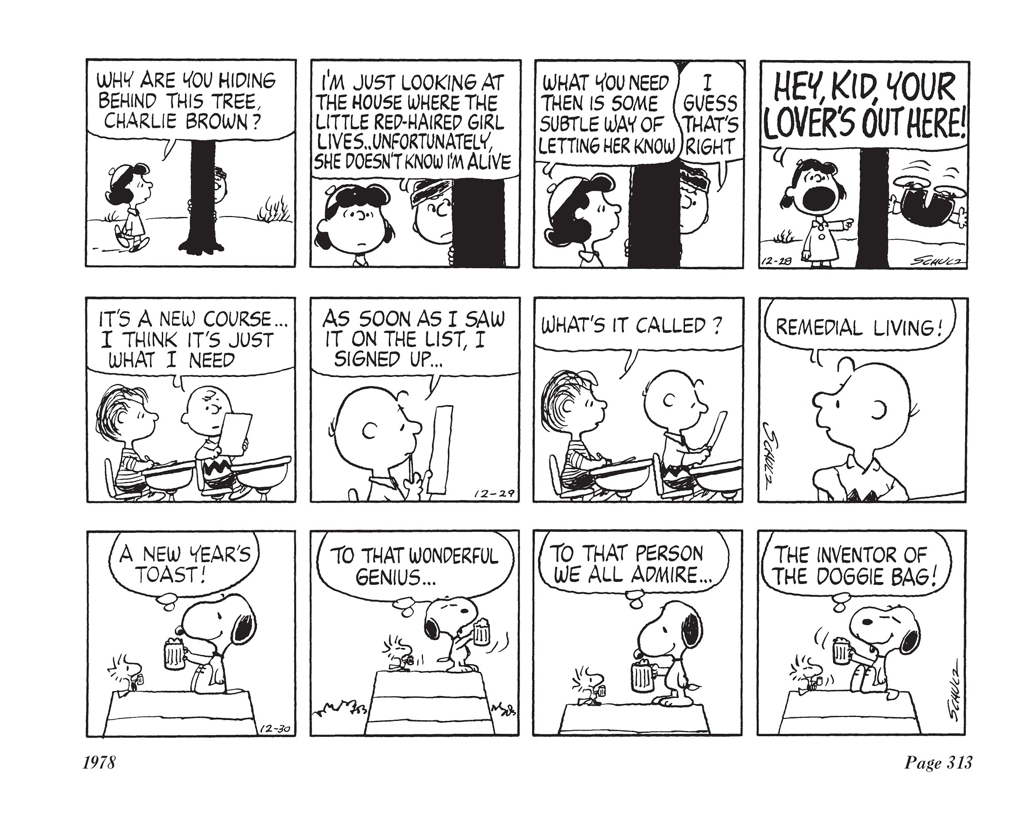 Read online The Complete Peanuts comic -  Issue # TPB 14 - 330