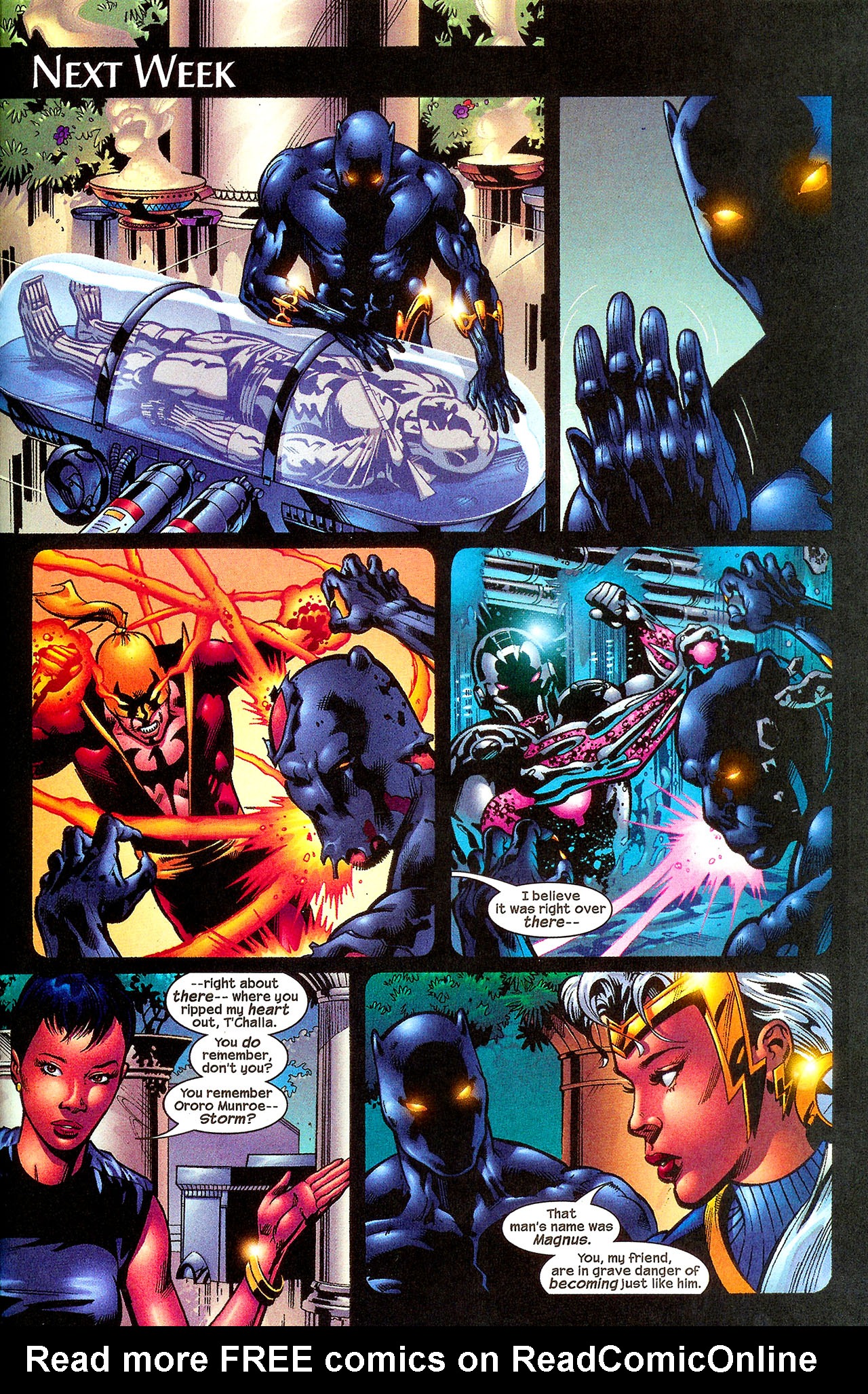 Read online Black Panther (1998) comic -  Issue #48 - 17