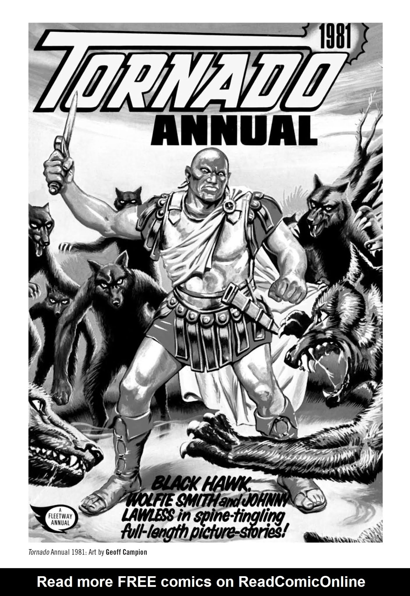 Read online Black Hawk comic -  Issue # TPB (Part 3) - 78