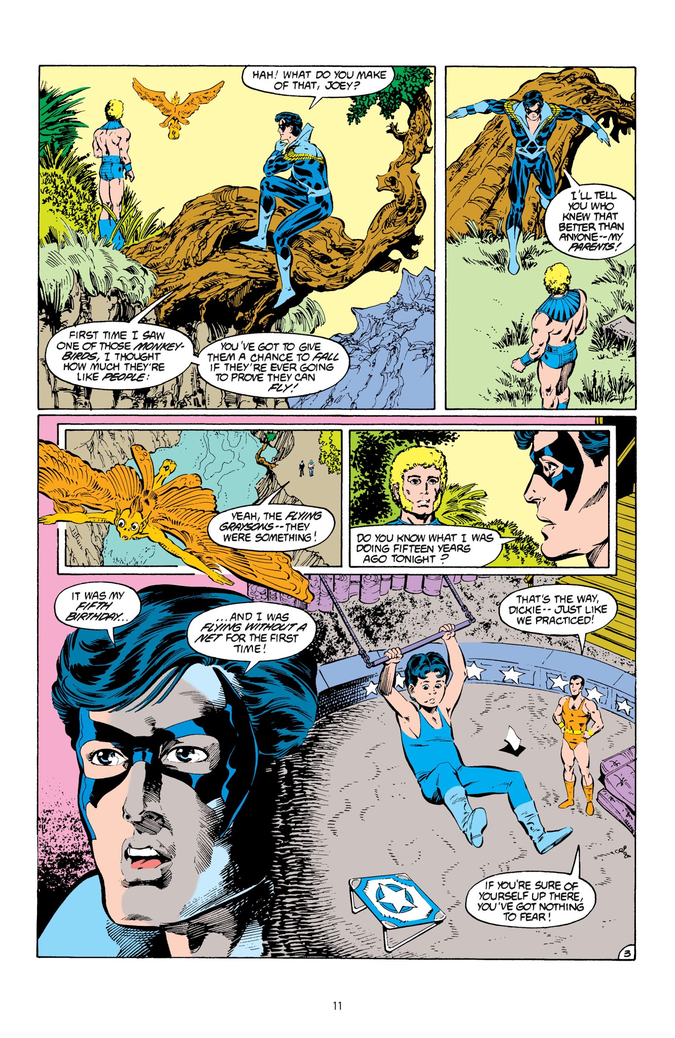 Read online Nightwing: Old Friends, New Enemies comic -  Issue # TPB - 11