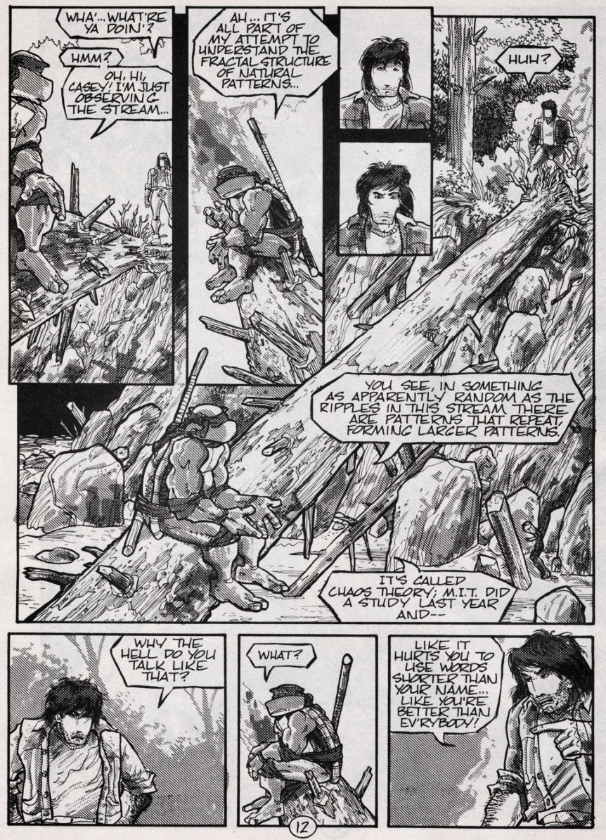Teenage Mutant Ninja Turtles (1984) Issue #49 #49 - English 12