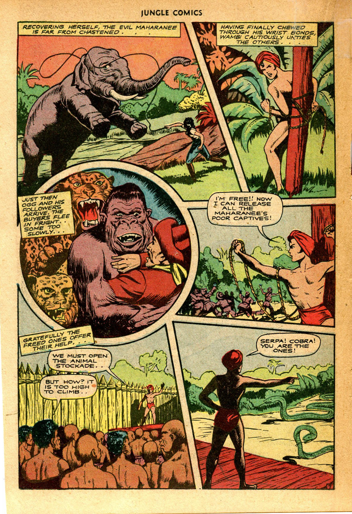 Read online Jungle Comics comic -  Issue #74 - 27