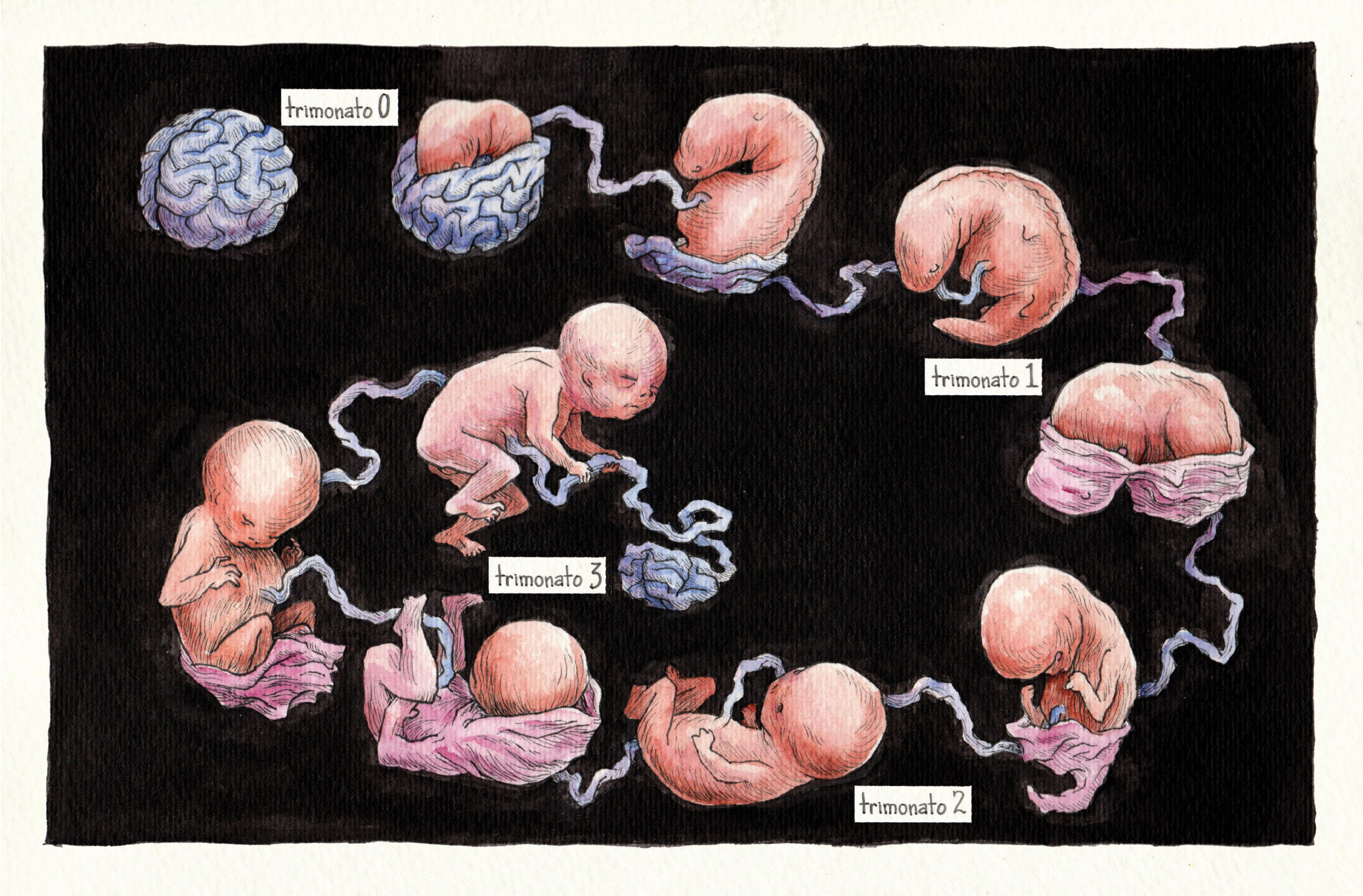 Read online Vivisectionary comic -  Issue # TPB - 76