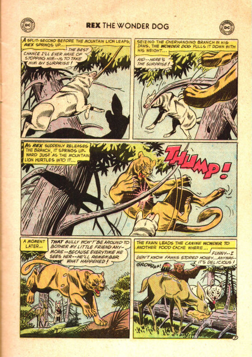 Read online The Adventures of Rex the Wonder Dog comic -  Issue #31 - 9