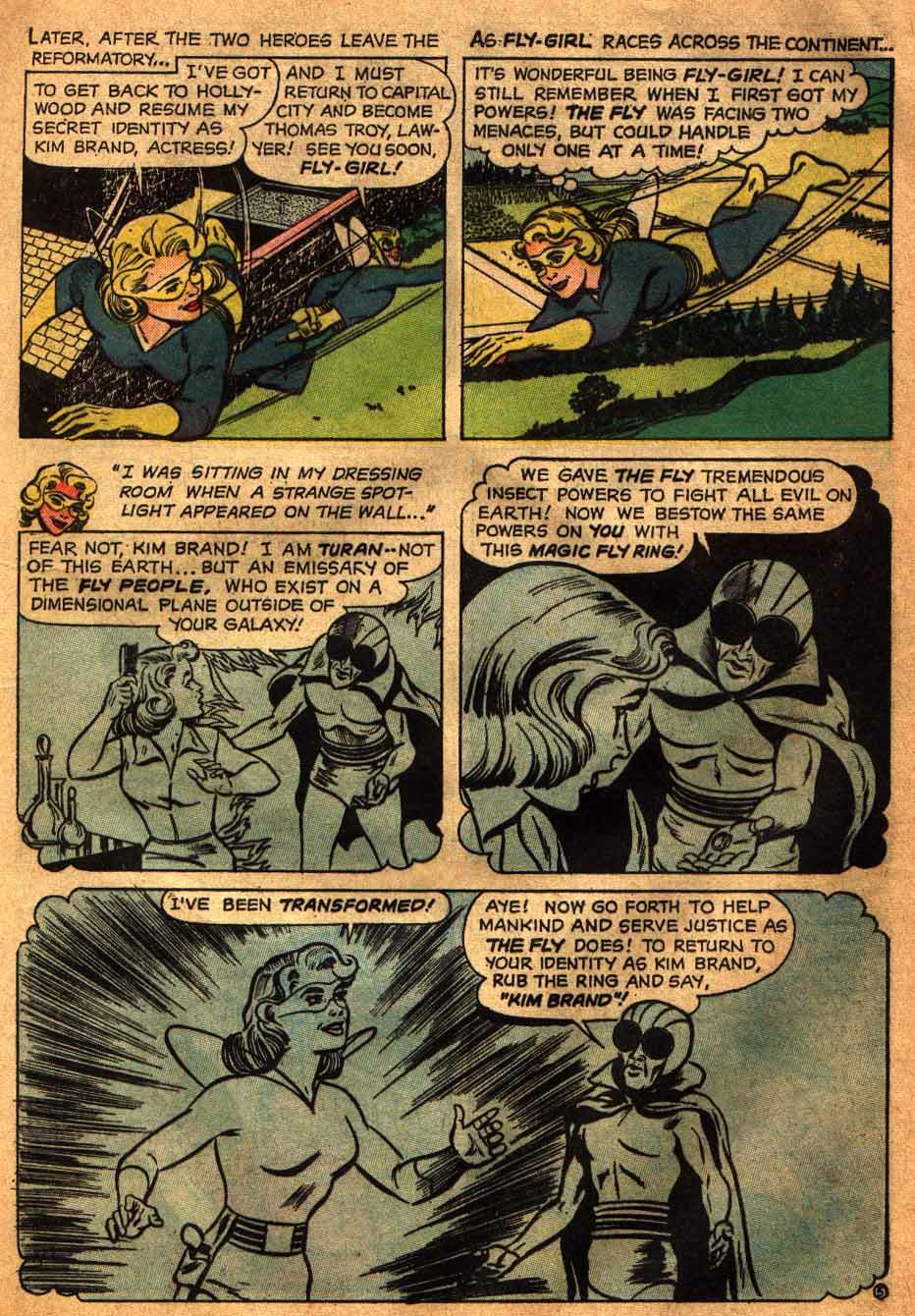 Read online Adventures of the Fly comic -  Issue #20 - 17