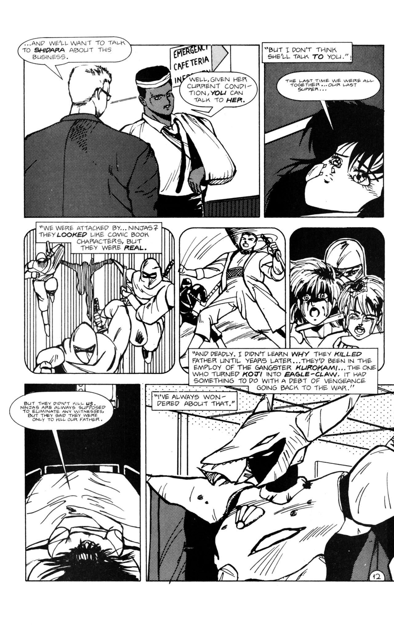 Read online Shuriken (1991) comic -  Issue #2 - 16