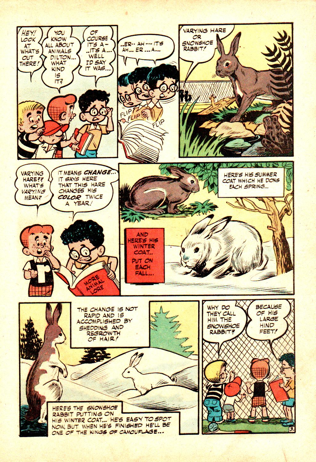 Read online Little Archie In Animal Land comic -  Issue #19 - 5