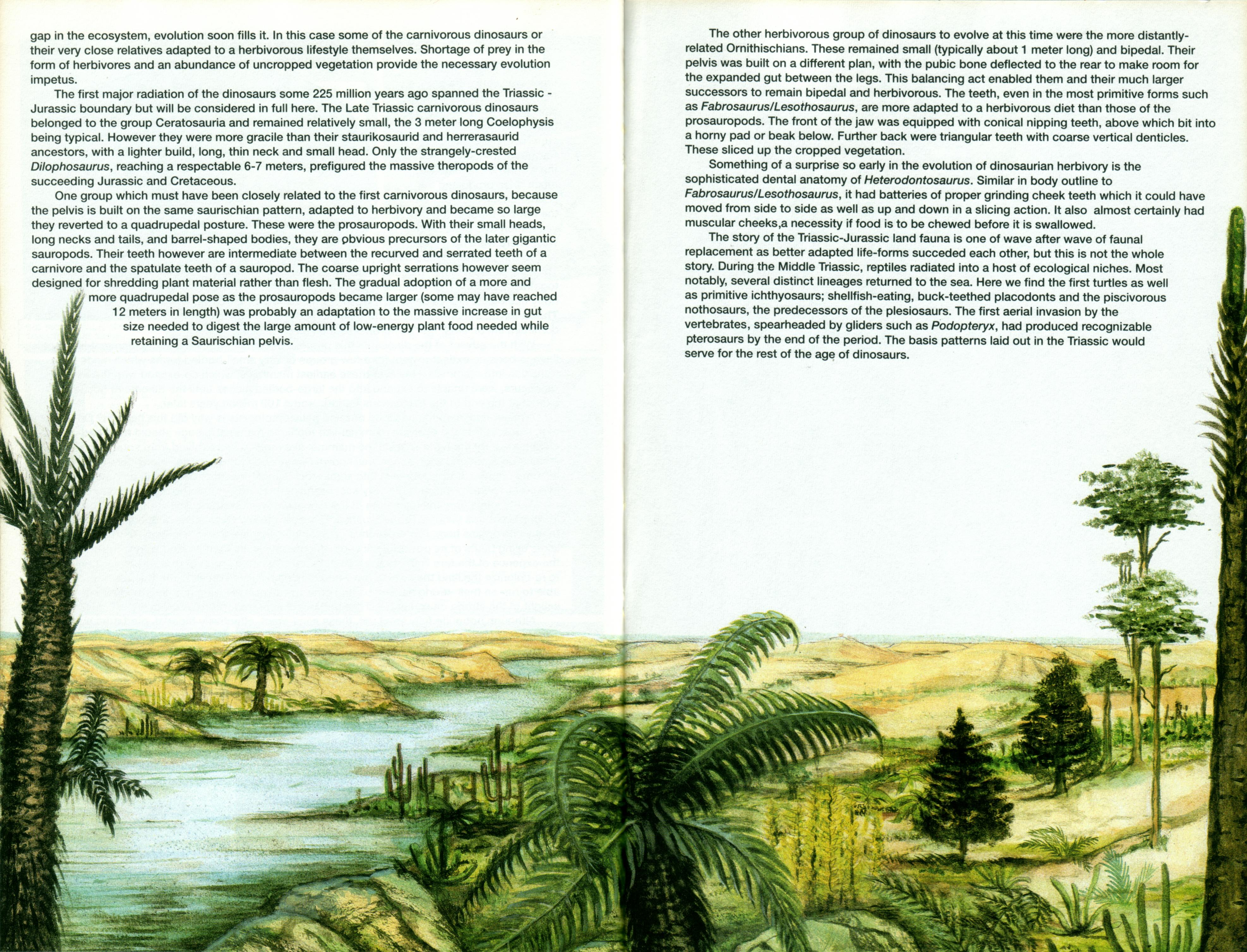 Read online Dinosaurs, A Celebration comic -  Issue #1 - 50