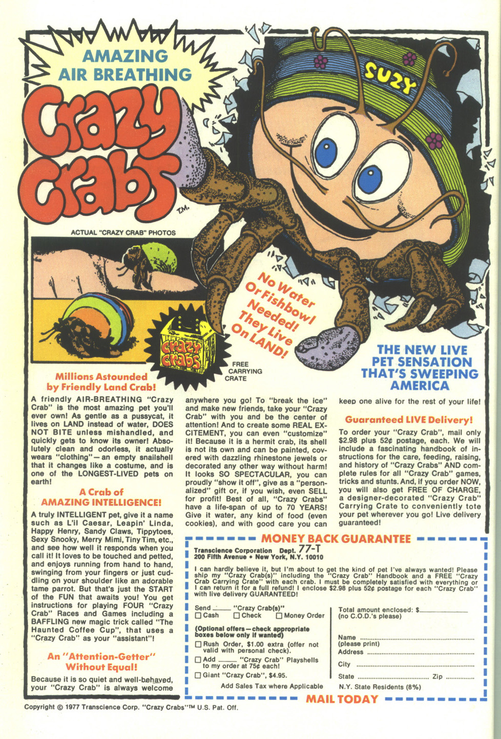 Read online Scamp (1967) comic -  Issue #42 - 36
