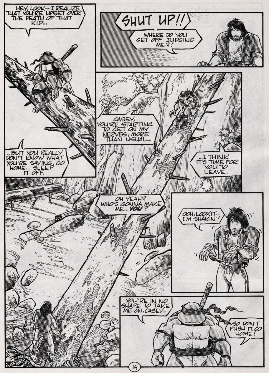 Teenage Mutant Ninja Turtles (1984) Issue #49 #49 - English 14