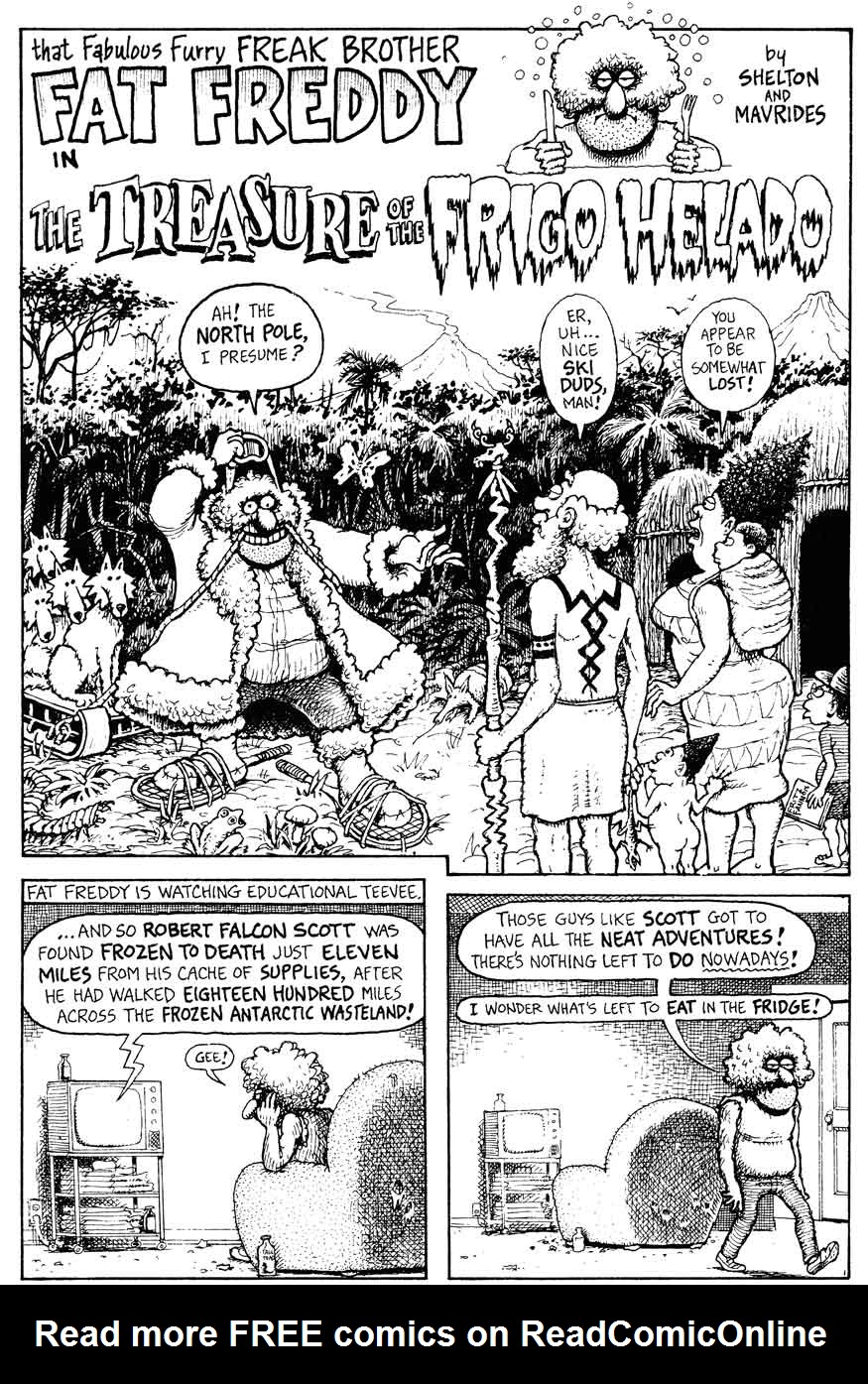 Read online The Fabulous Furry Freak Brothers comic -  Issue #12 - 19