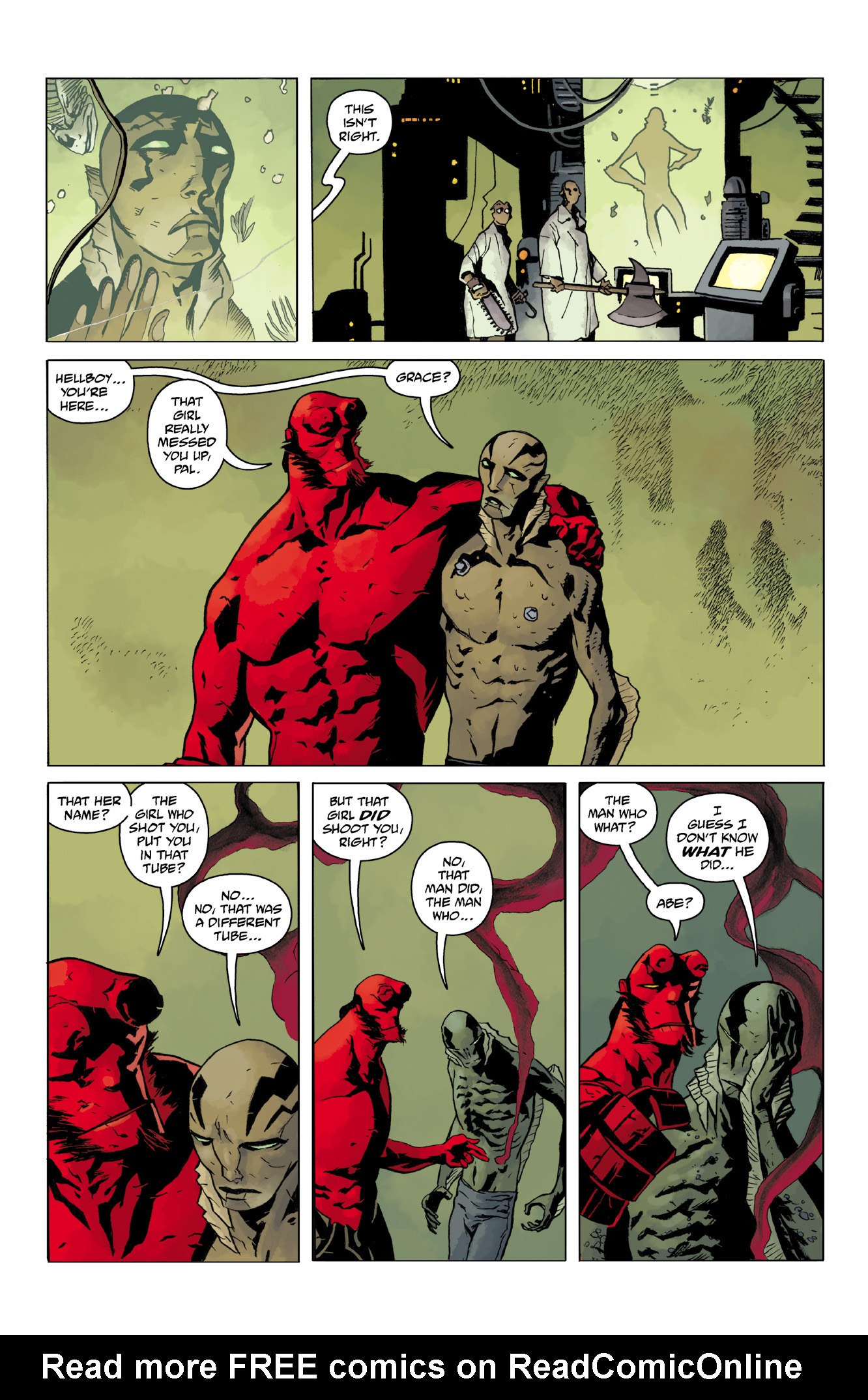 Read online Abe Sapien comic -  Issue #14 - 16